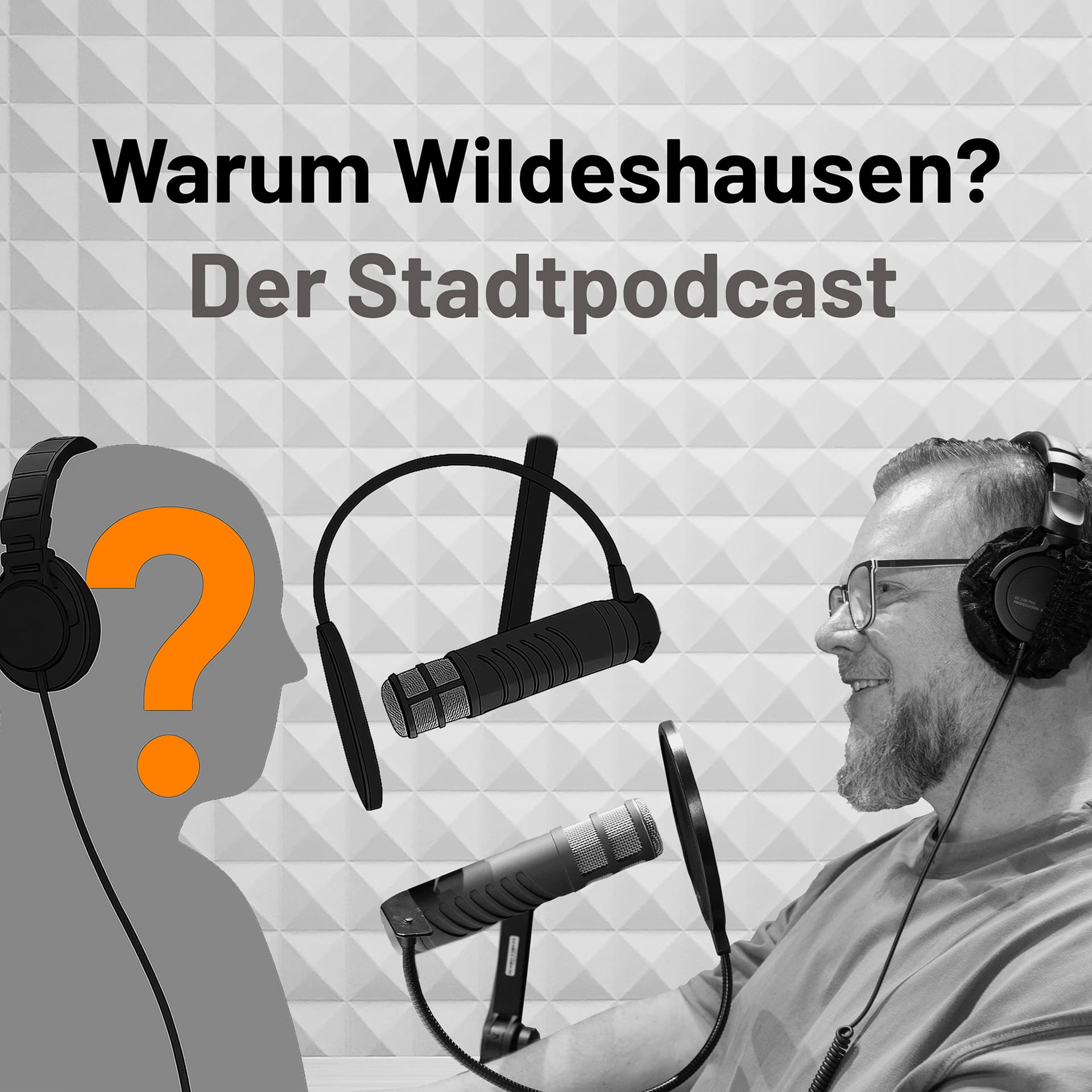 Warum Wildeshausen? - Podcasts