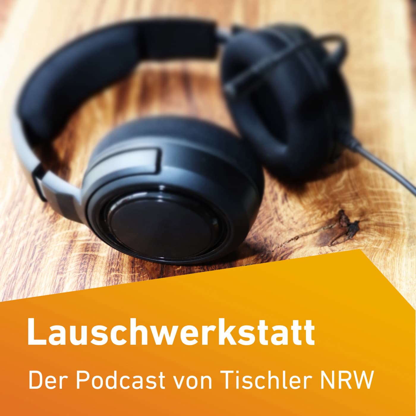 Lauschwerkstatt - Podcasts