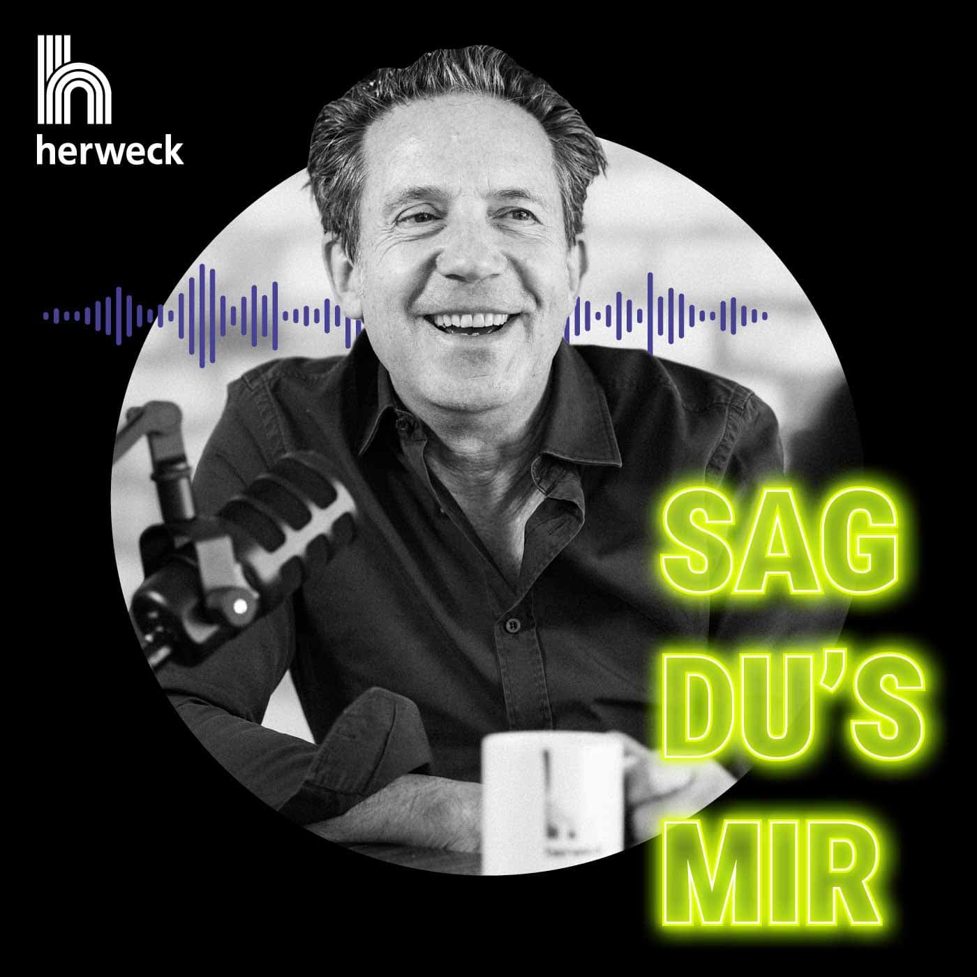 Sag Du's mir! - Podcasts