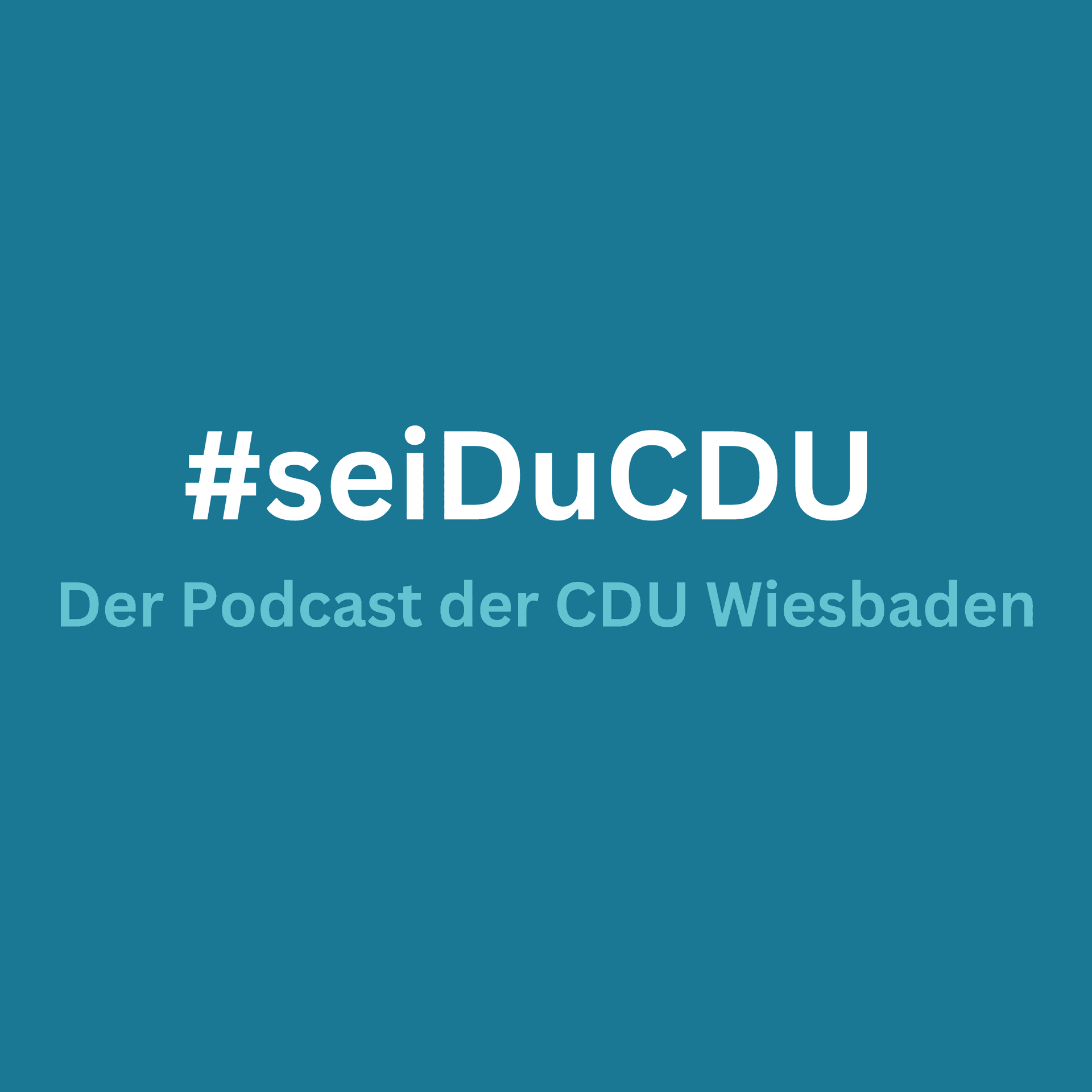 #seiDuCDU Der Podcast der CDU Wiesbaden - Podcasts