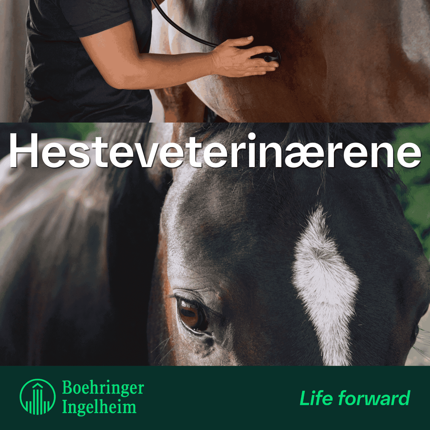 Hesteveterinærene - ポッドキャスト