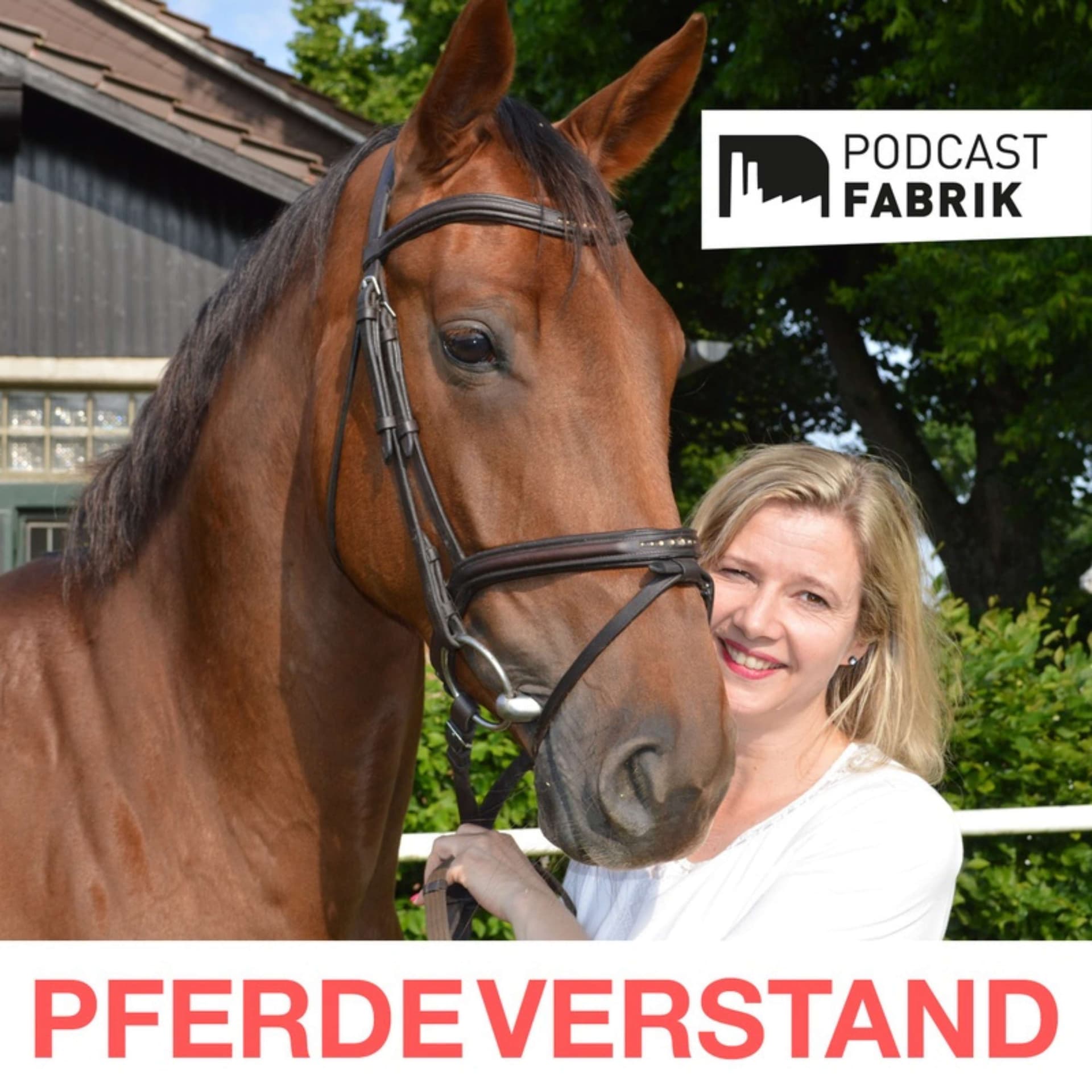 Pferdeverstand - Der Pferdesportpodcast - Podcasts
