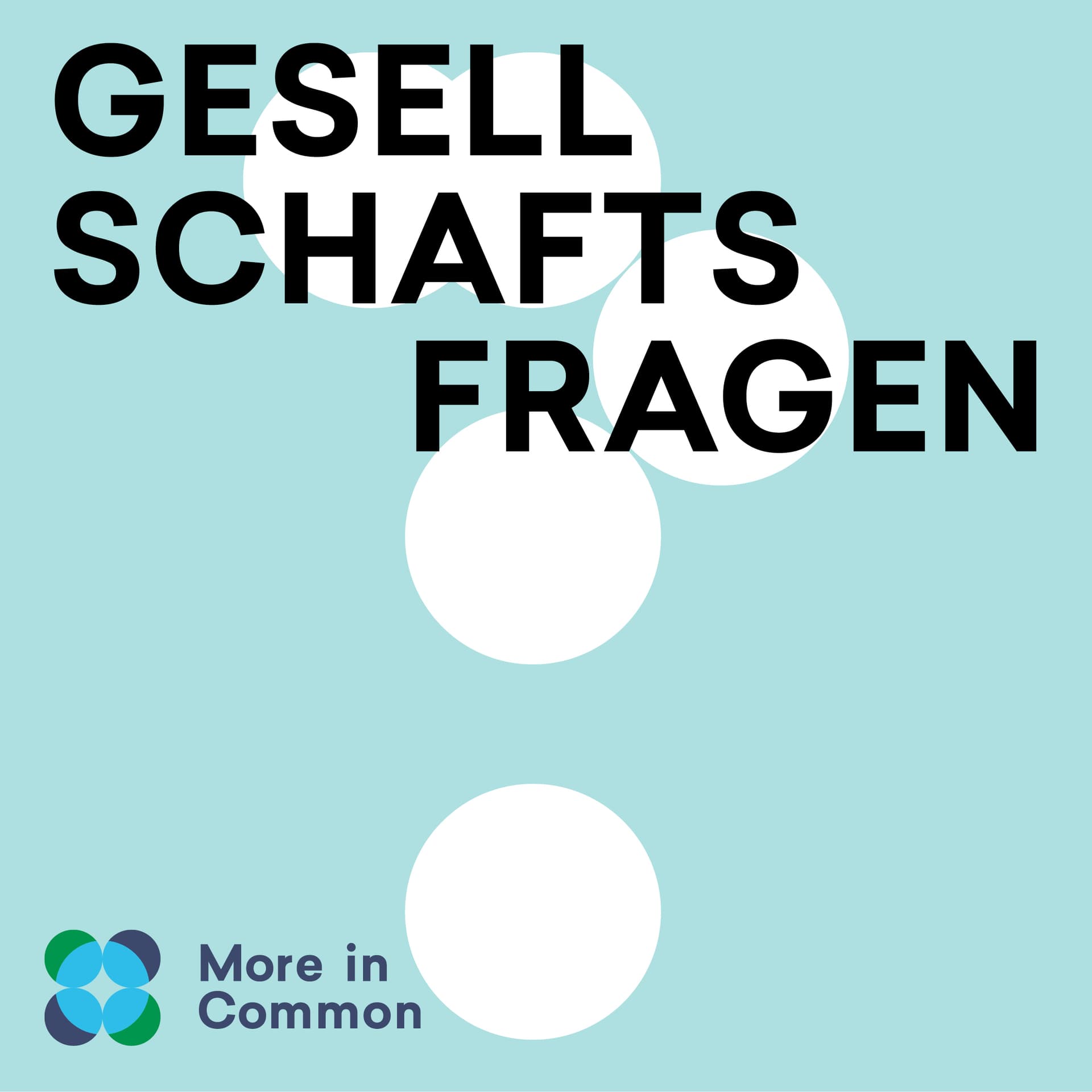 Gesellschaftsfragen – Der Podcast von More in Common - Podcasts