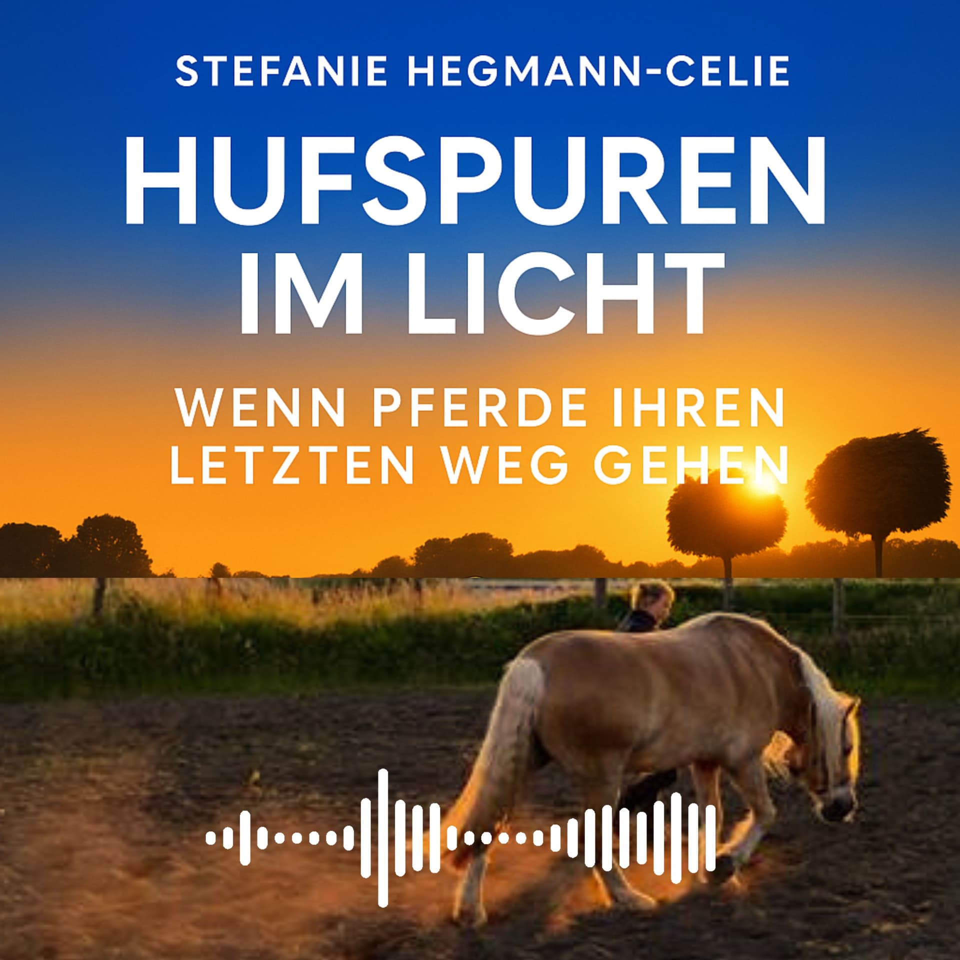 Hufspuren im Licht - Wenn Pferde ihren letzten Weg gehen - Podcasts