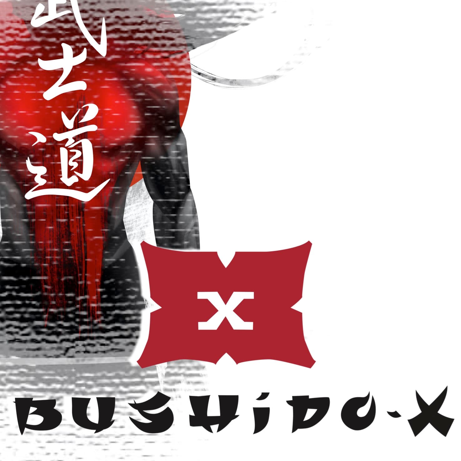 BushidoX - Der Kampfkunst Podcast - Podcasts