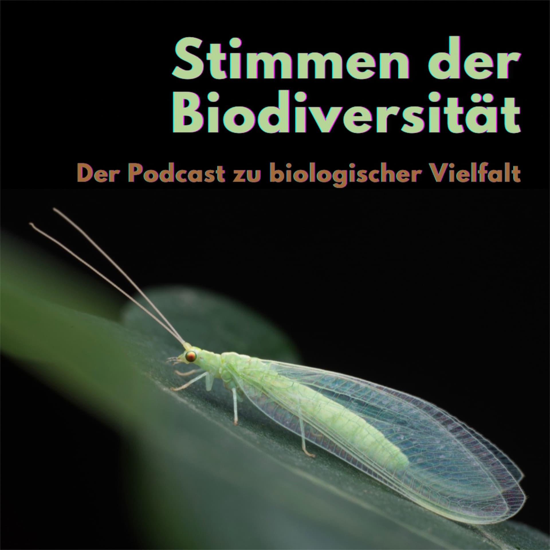 Stimmen der Biodiversität - Der Podcast zu biologischer Vielfalt - Podcast