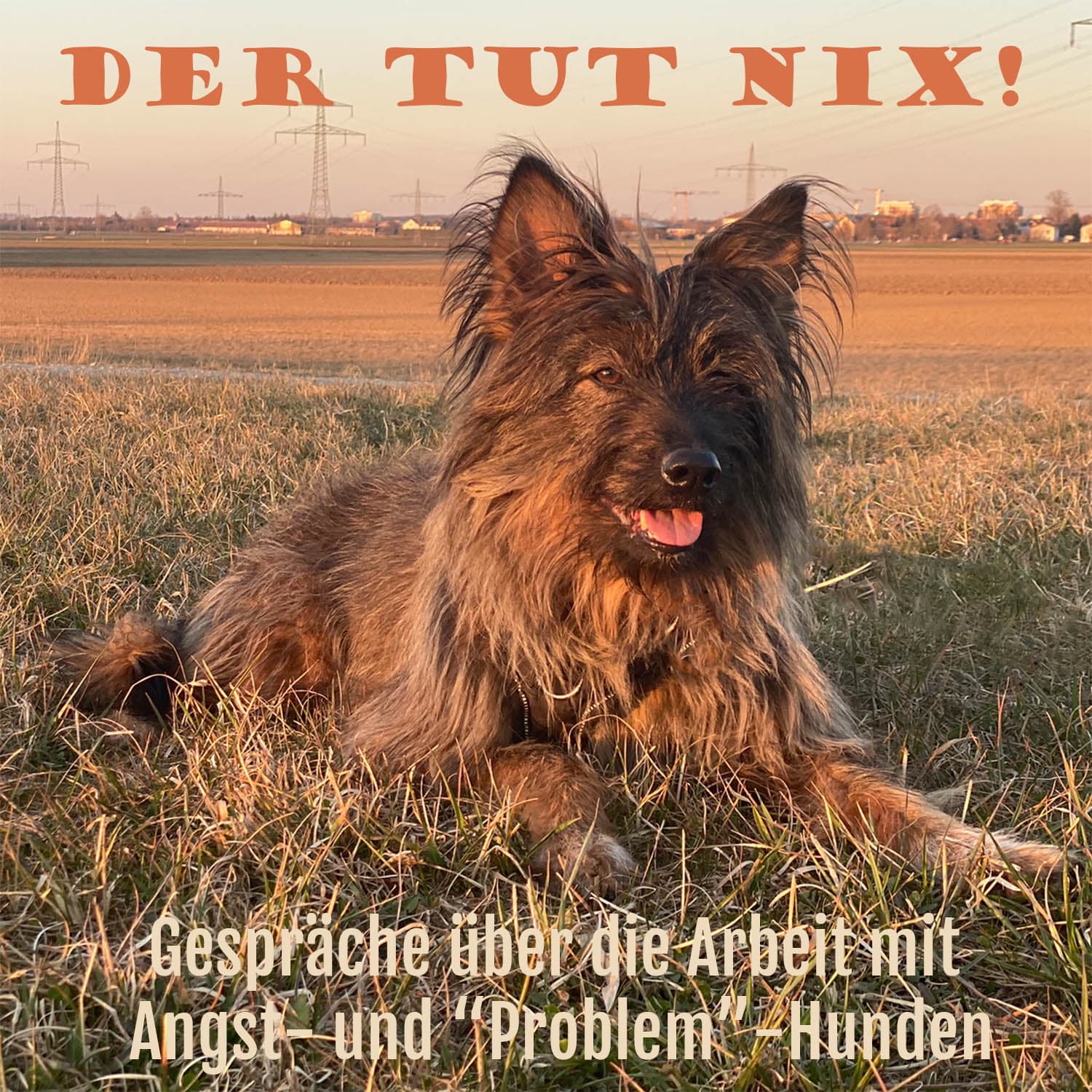 Der Tut Nix! - Podcasts