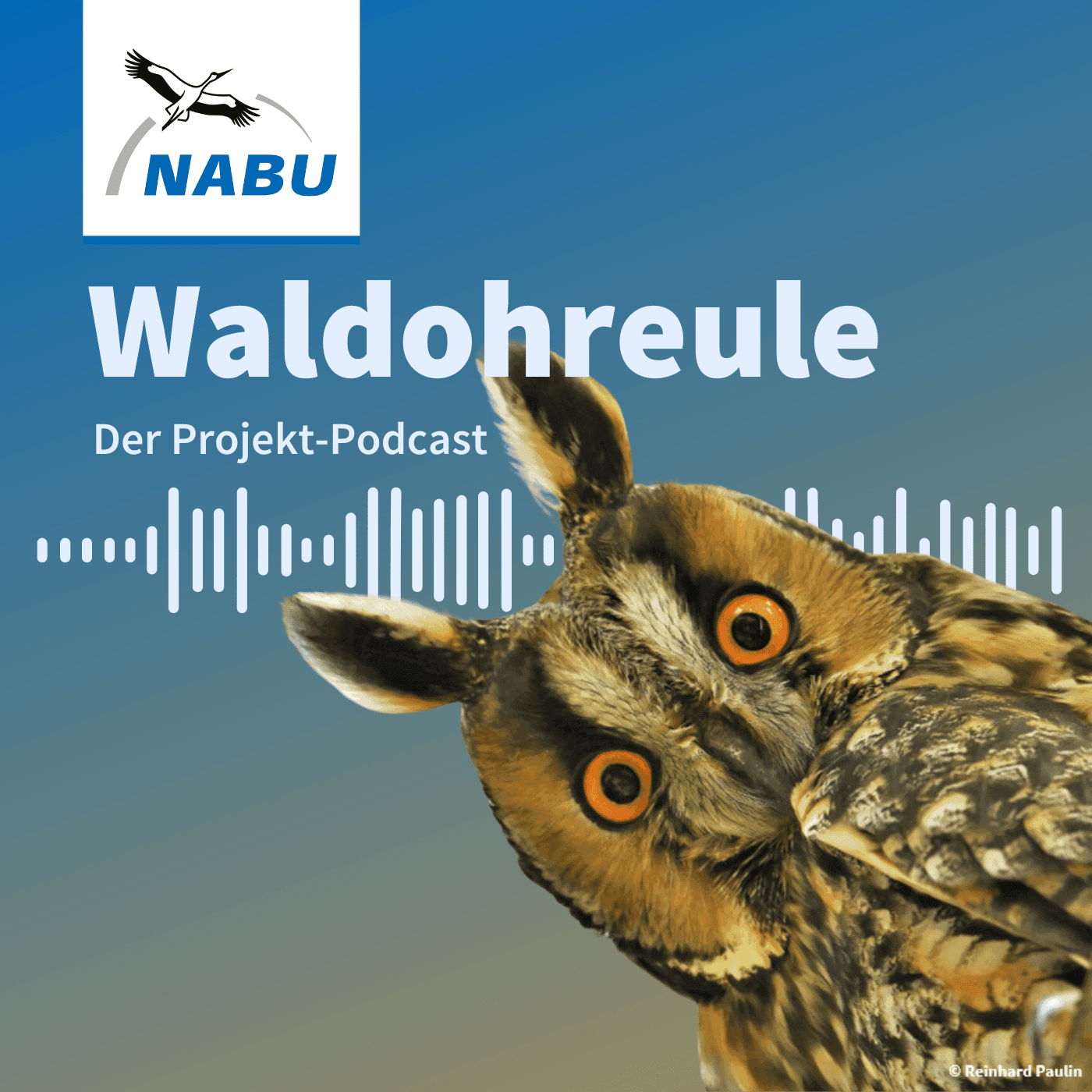 Waldohreule - NABU Projekt-Podcast - Podcasts