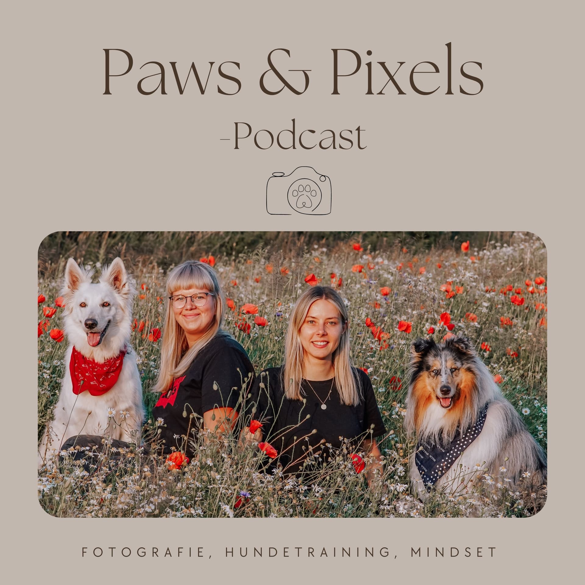 Paws & Pixels - Podcast - Podcasts