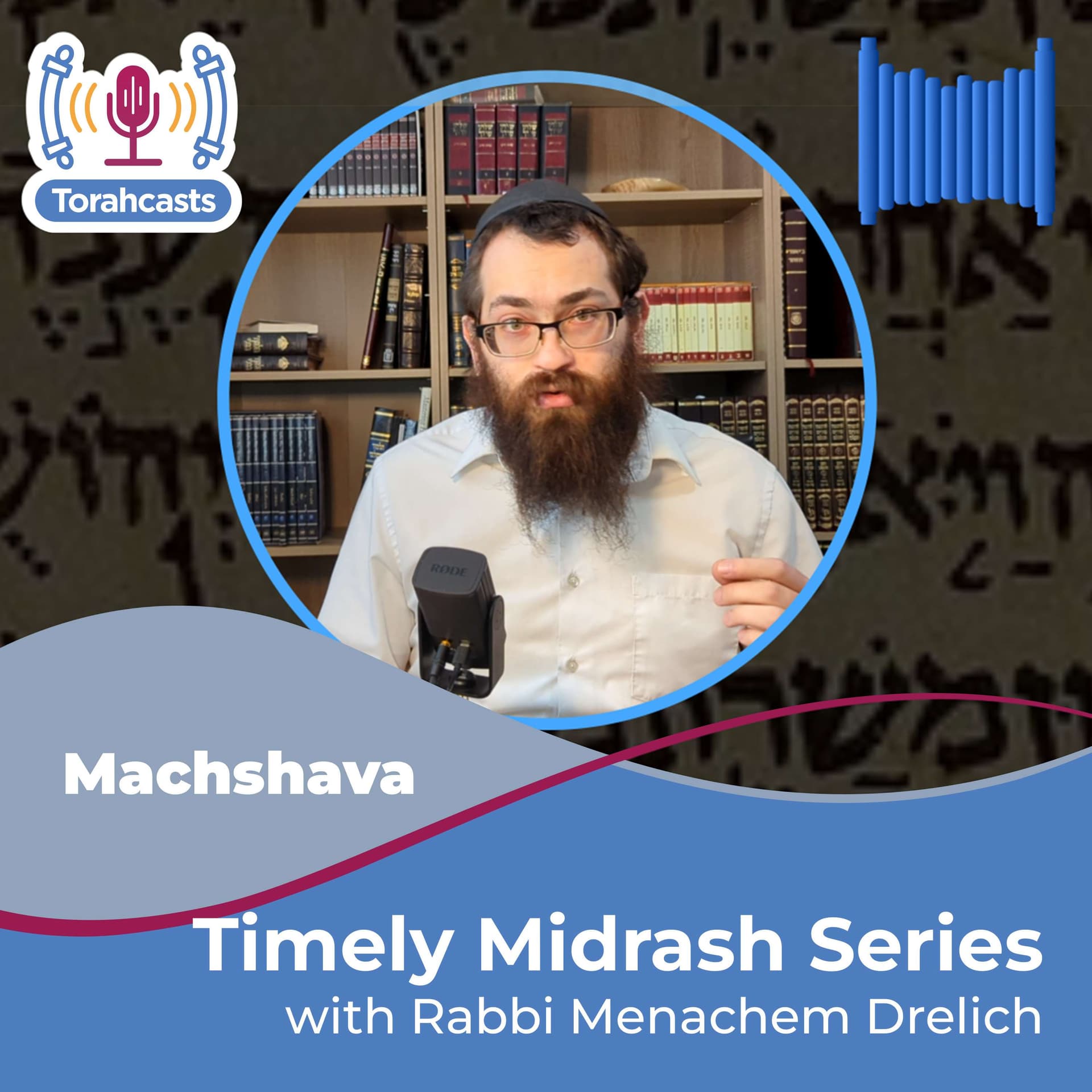 Timely Midrash: Wisdom for Today - Podcasts