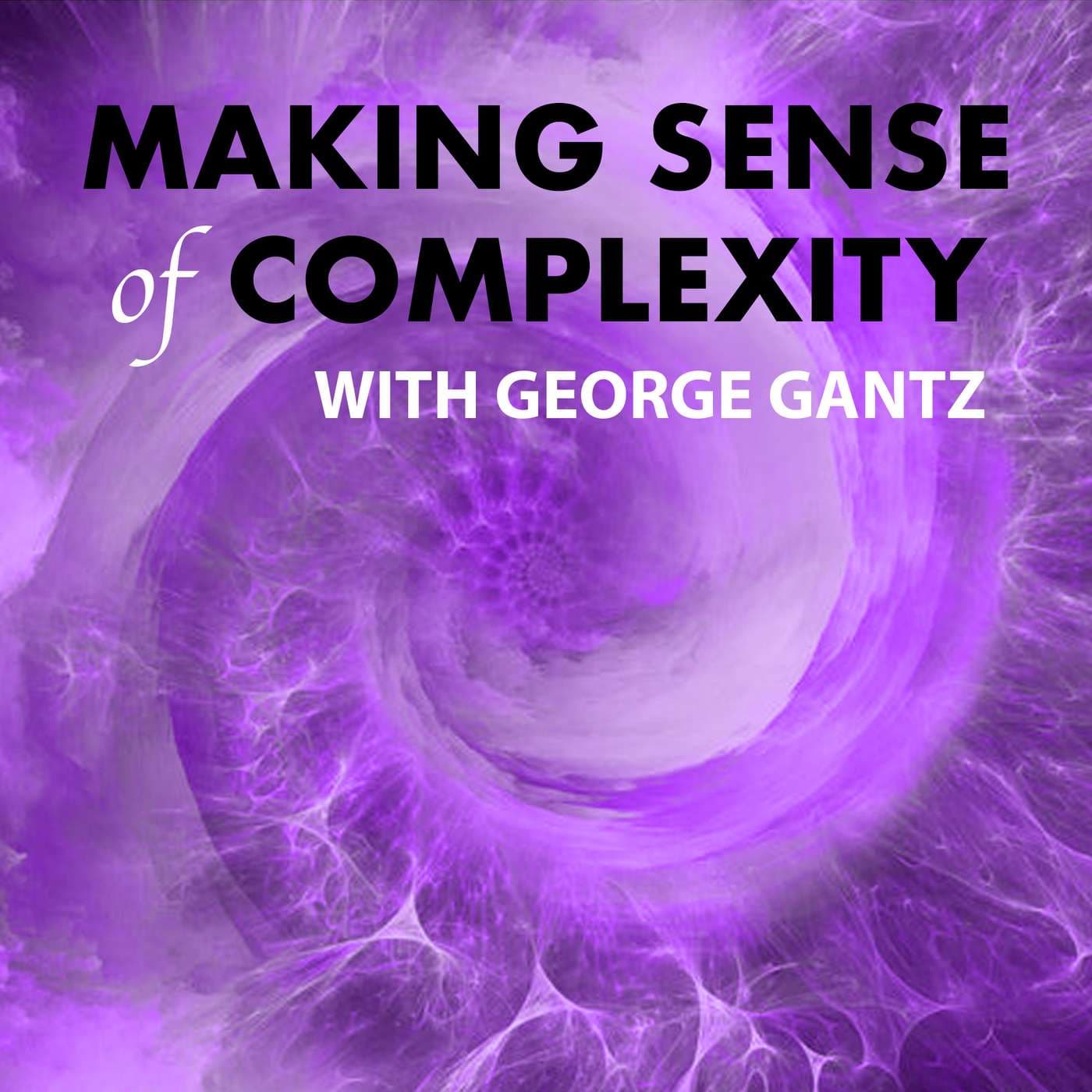 Making Sense of Complexity with George Gantz - Podcasts