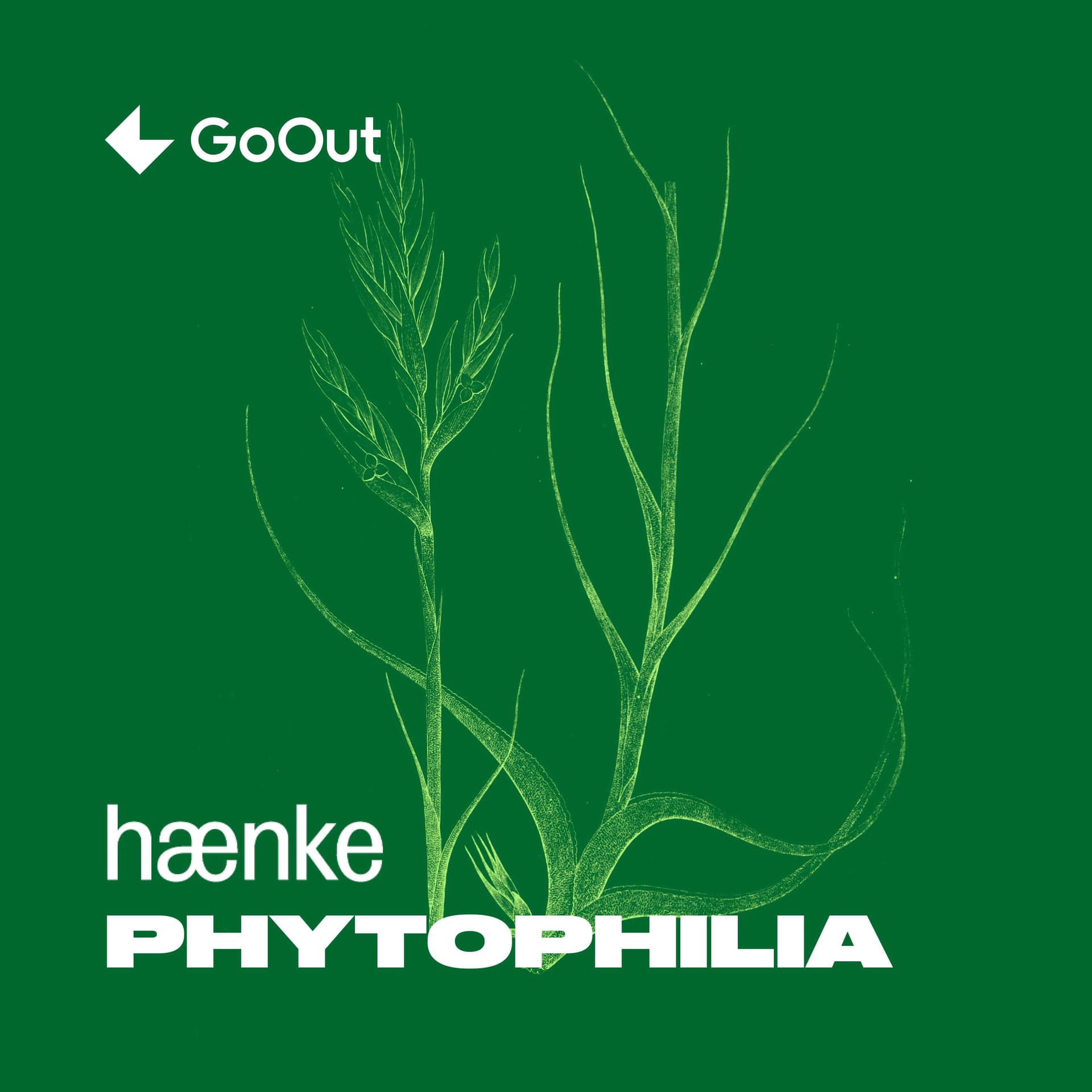 Phytophilia - Podcasty