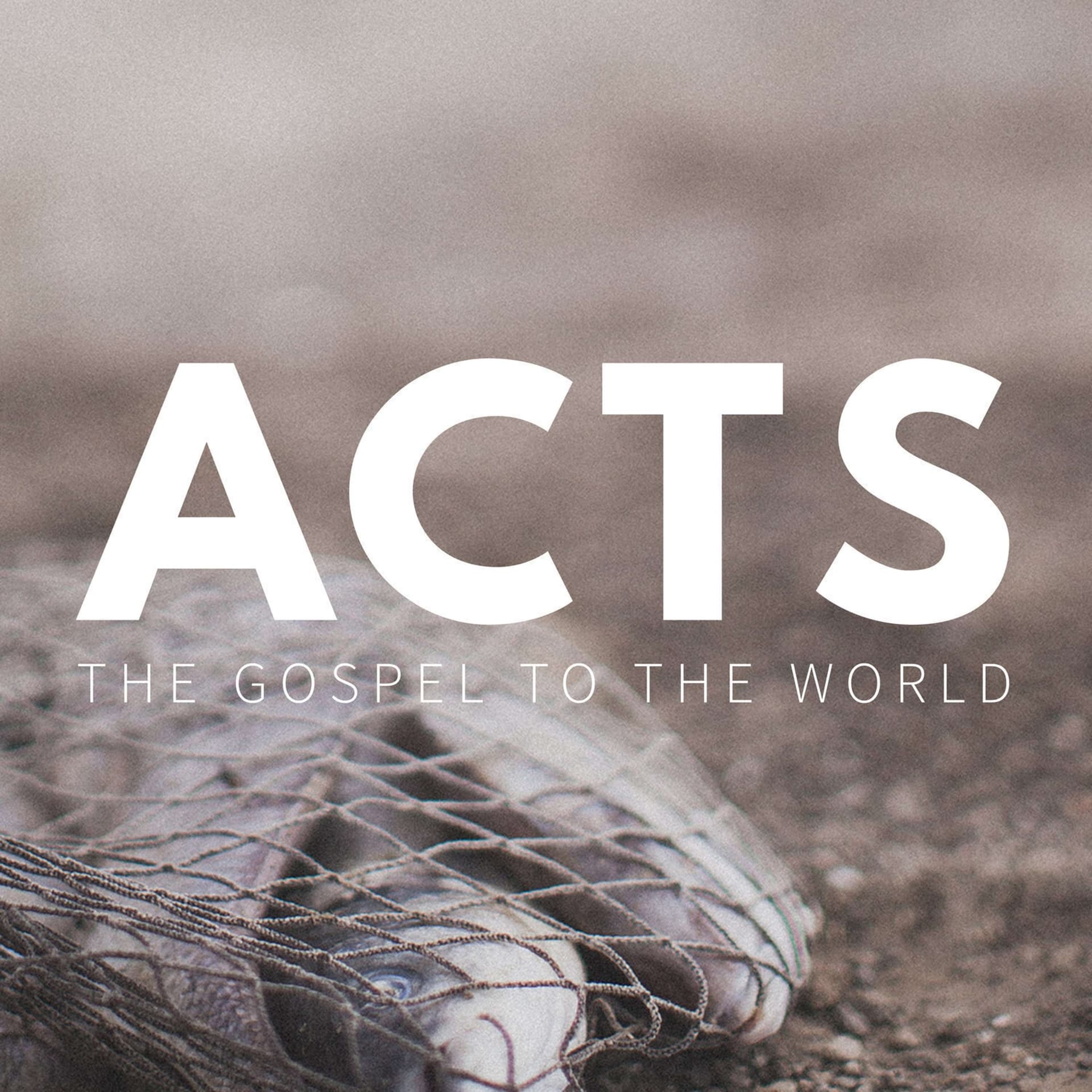 ACTS: The Gospel to the World - Podcasts