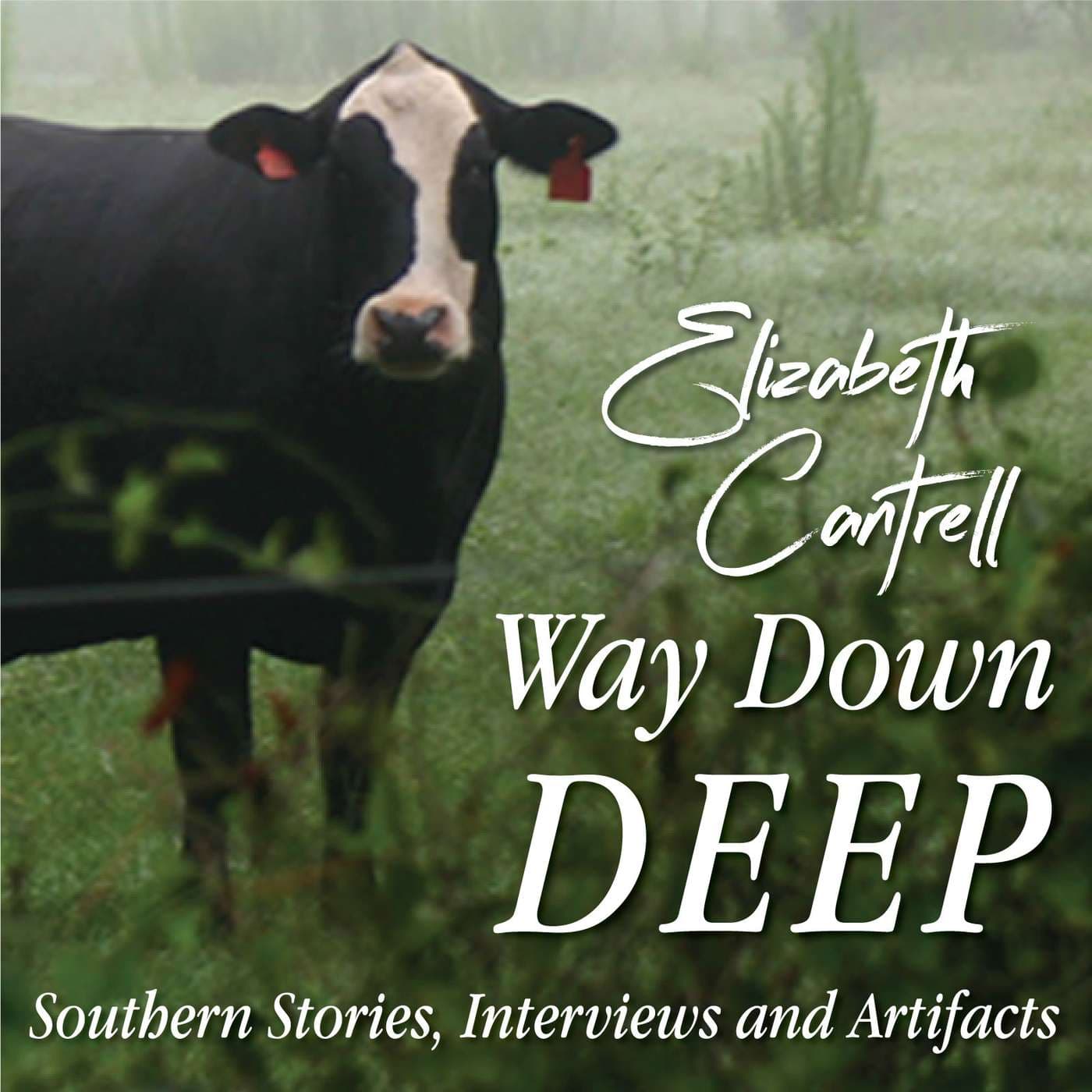 Way Down Deep - Podcasts