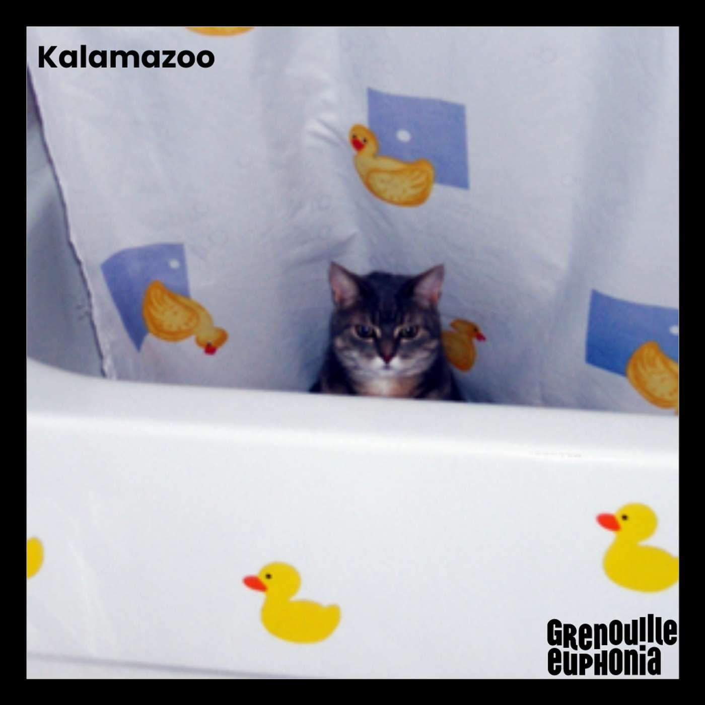 Kalamazoo - Dr Zoom - Podcasts