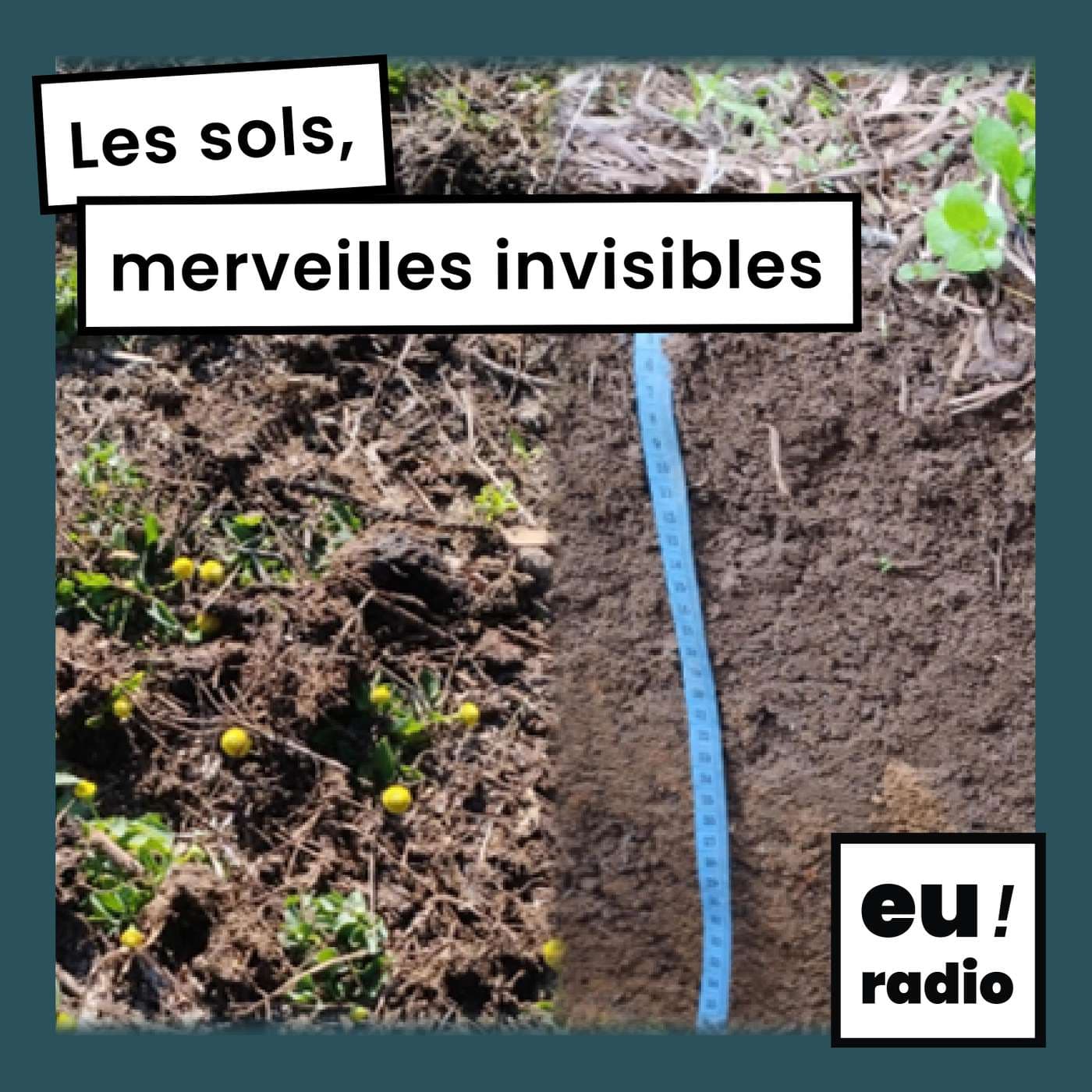 Les sols, merveilles invisibles - Podcast