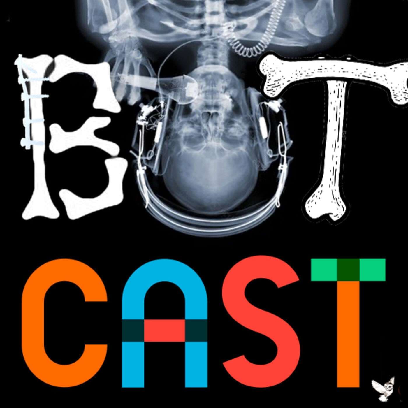 De BotCast - Podcasts