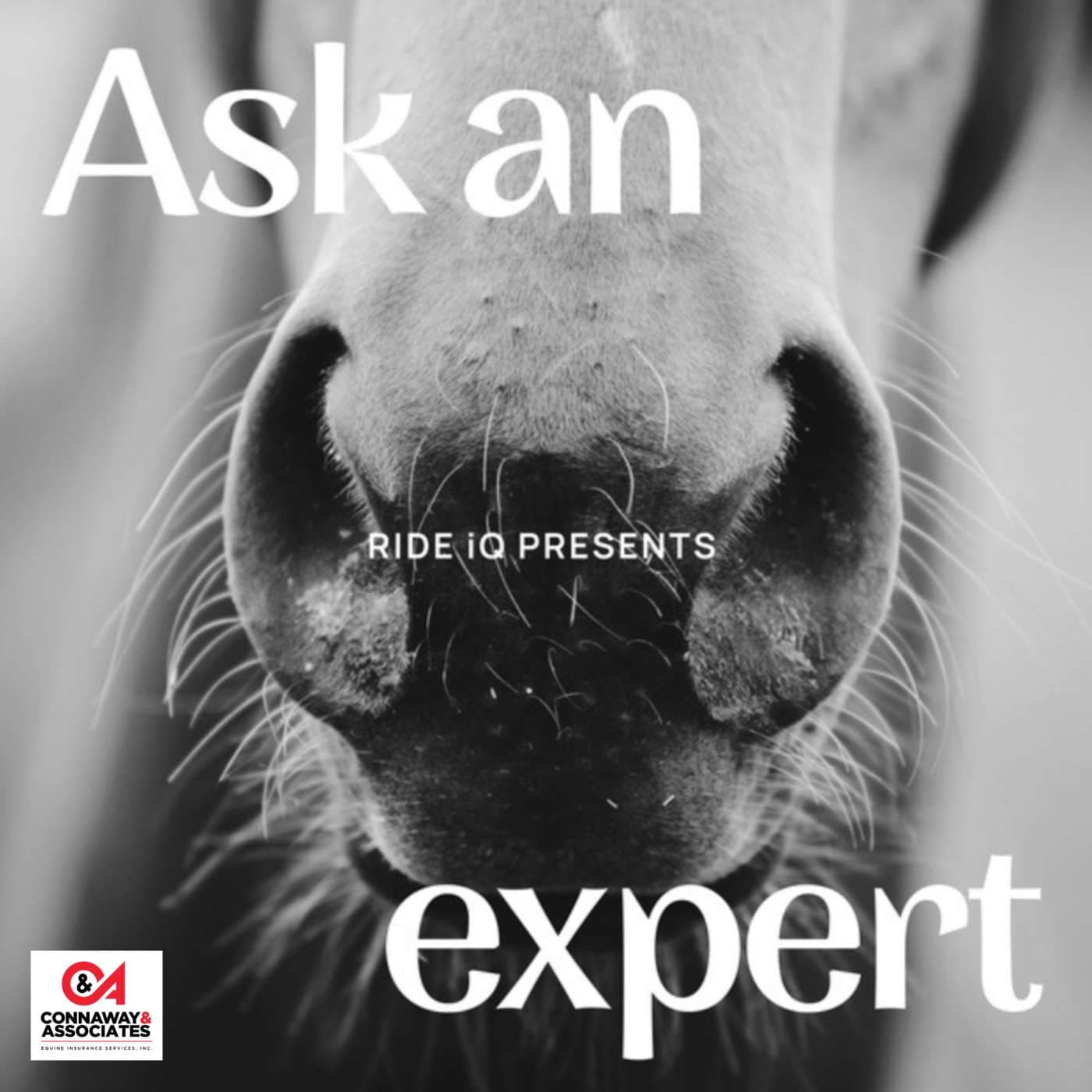 Ask An Expert: Horse Care and Riding Advice - Podcasts