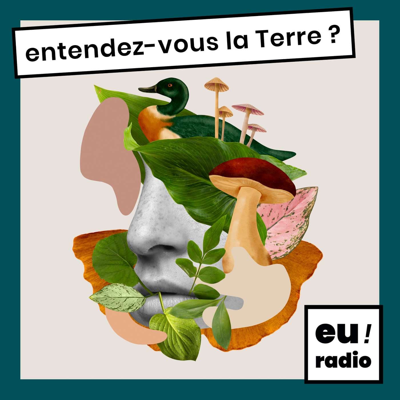 Entendez-vous la Terre ? - Podcasts
