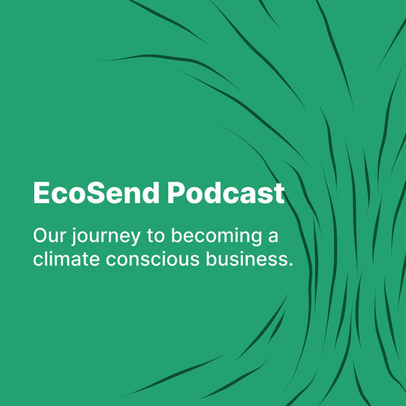 The EcoSend Podcast - Podcasts