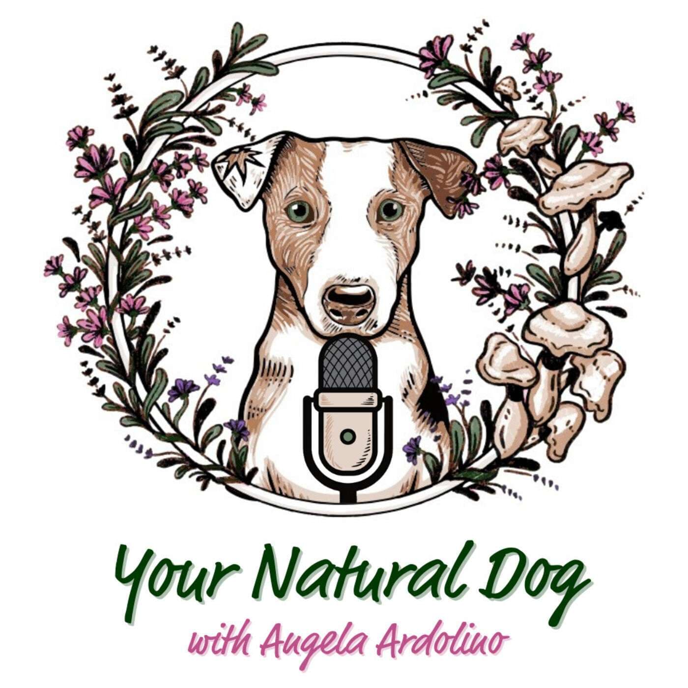 Your Natural Dog with Angela Ardolino - Podcasts