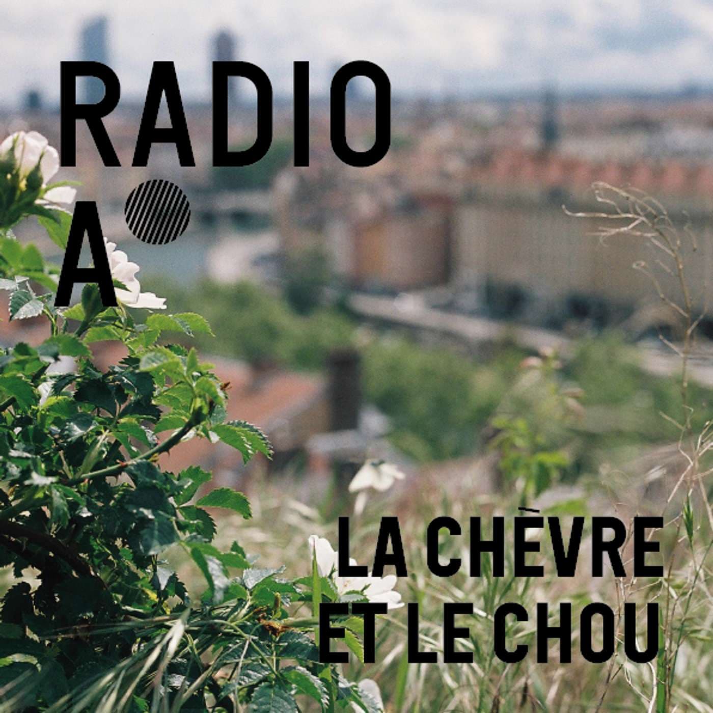 La chèvre et le chou - Podcasts