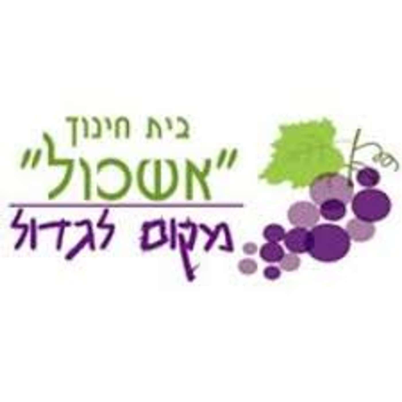 קול אשכול לוד - ערוץ הסכתים בית ספרי - Podcasts