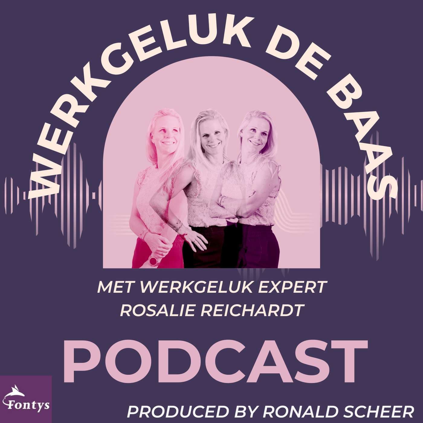 Werkgeluk de baas - Podcasts