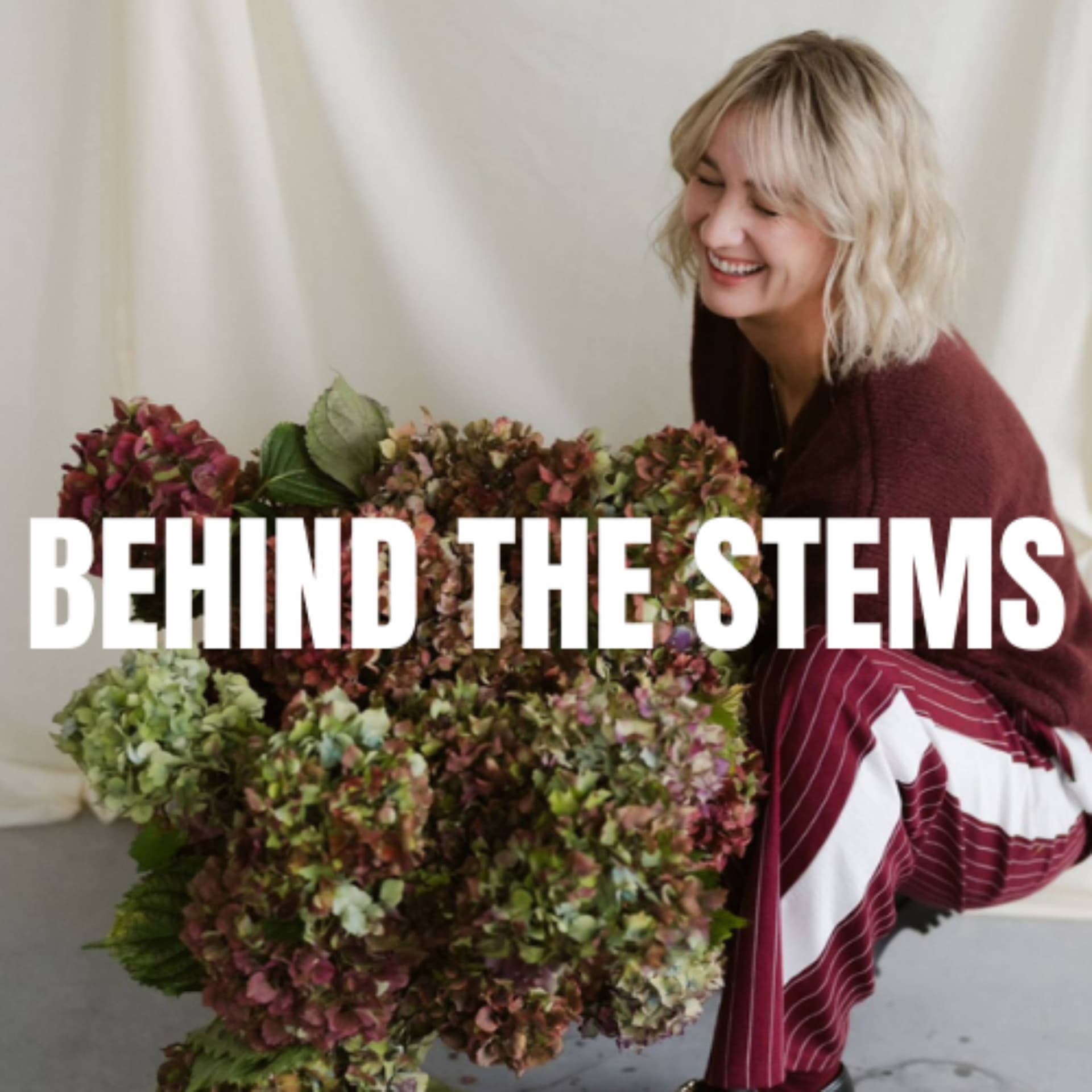 Behind the Stems - Podcasts