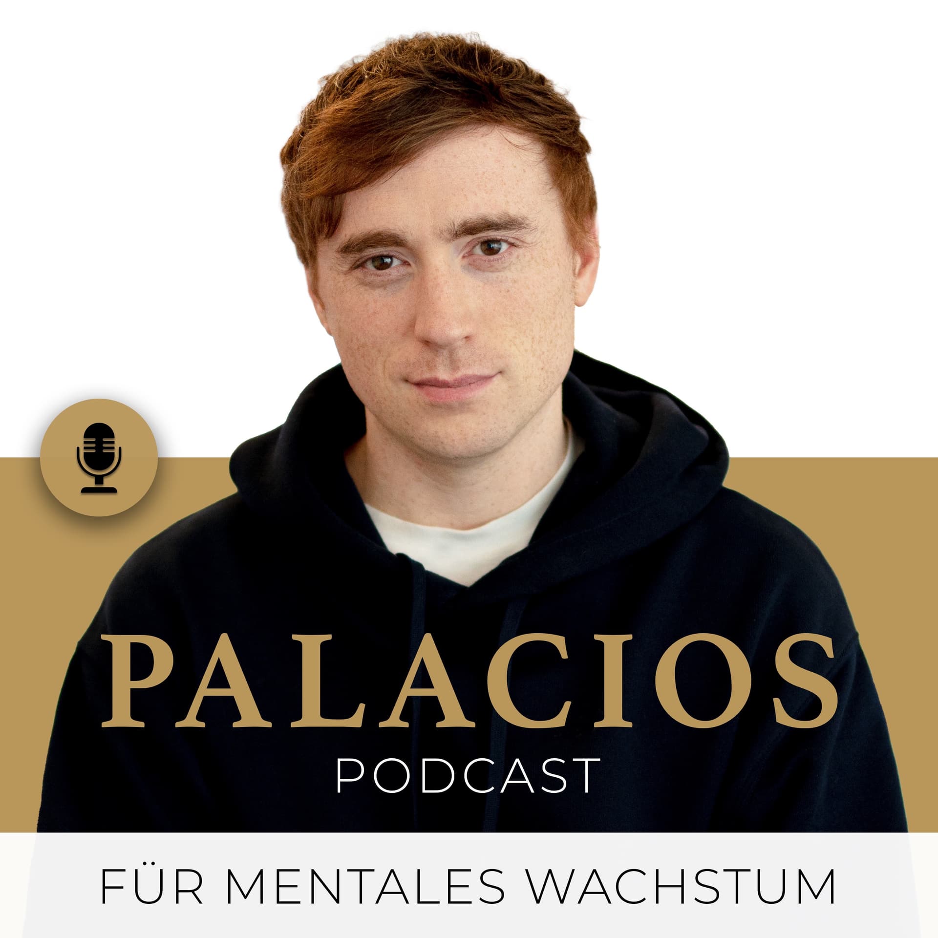Palacios Podcast | für mentales Wachstum - Podcasts
