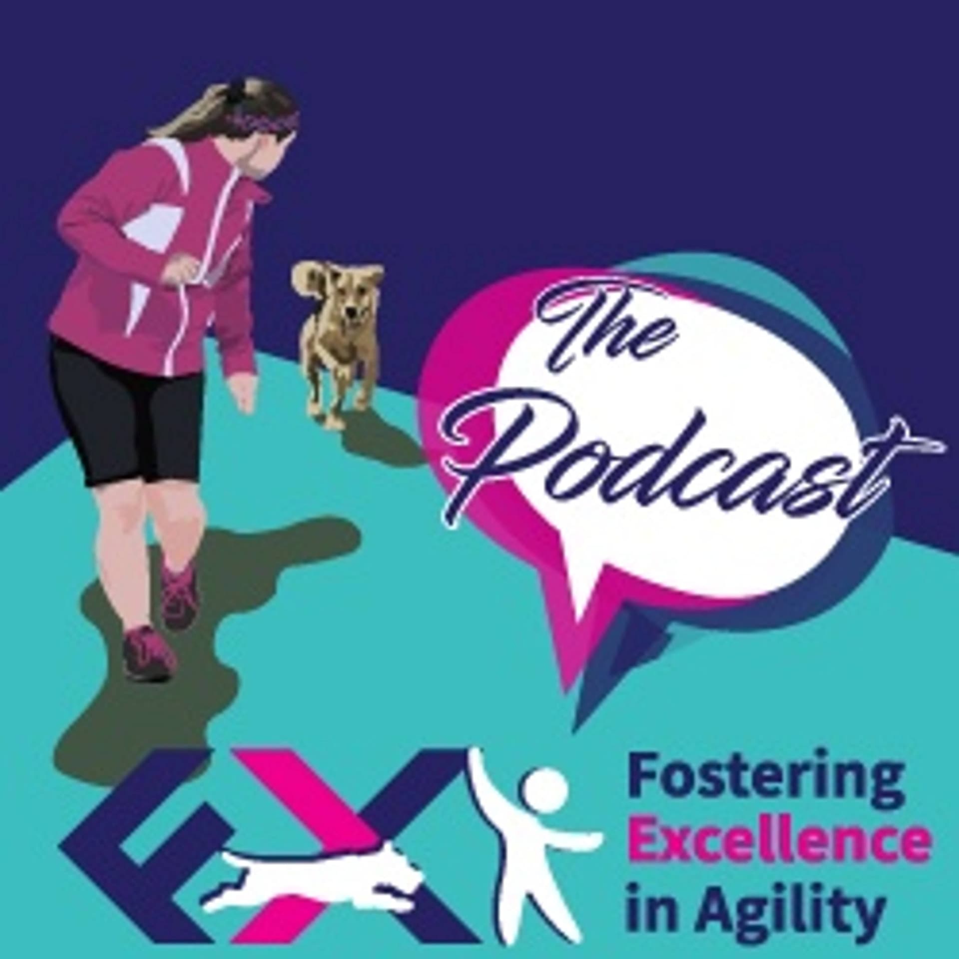 Fostering Excellence in Agility - Podcasts