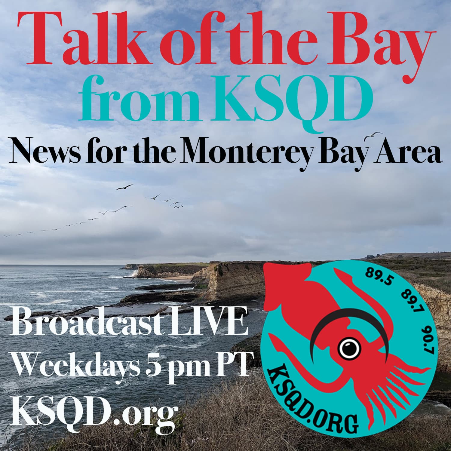 Talk of the Bay KSQD - Latest News - Podcast