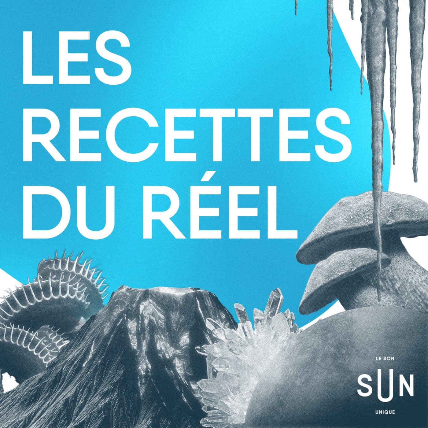 Les recettes du réel - بودكاست