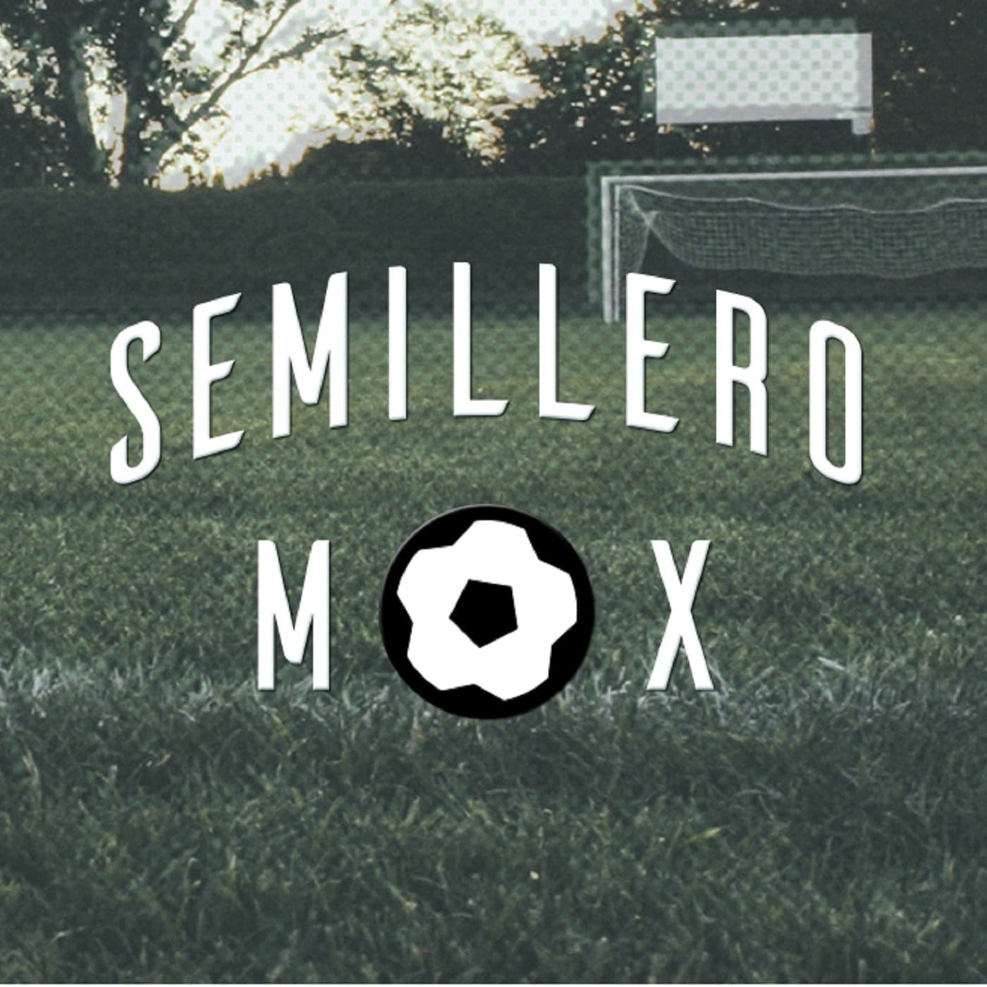 SEMILLERO MX - Podcasts