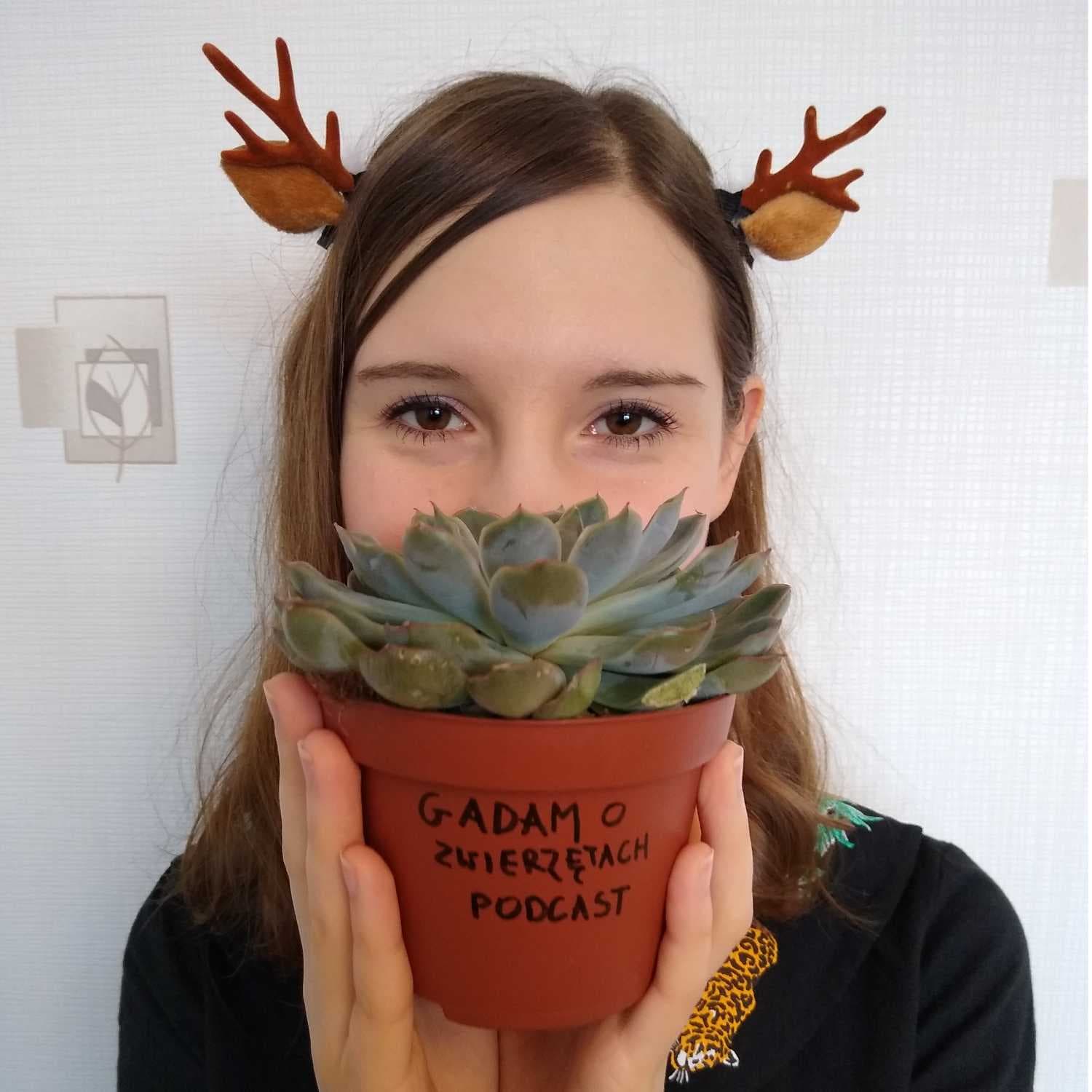 Gadam o Zwierzętach Podcast - Podcast