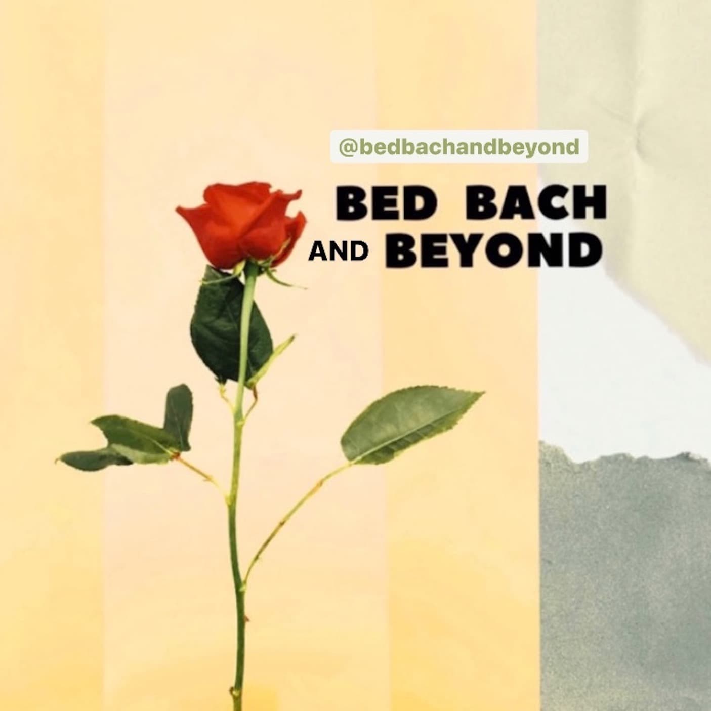 Bed Bach and Beyond - Podcasts