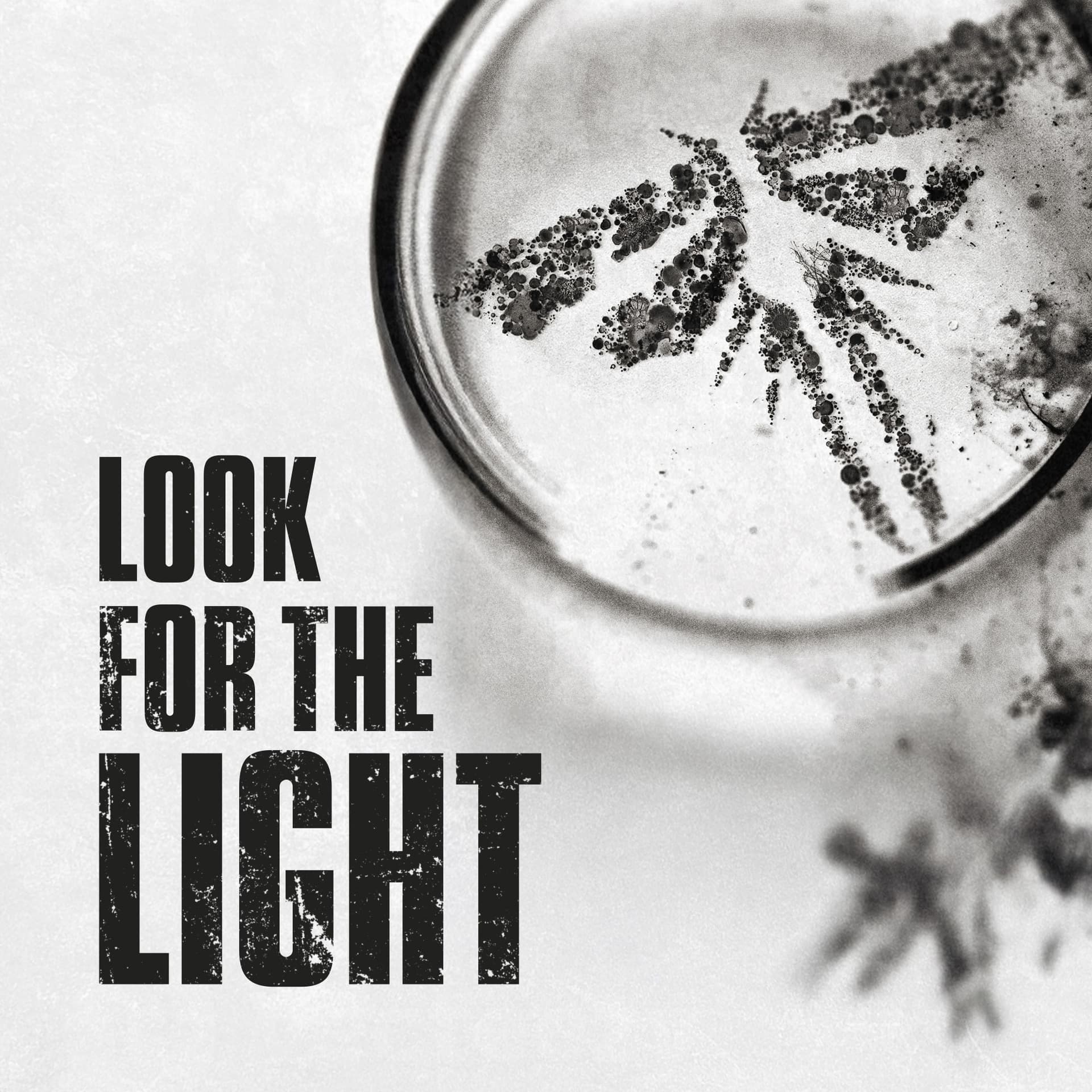 Look for the Light | The Last of Us Podcast - Podcasts