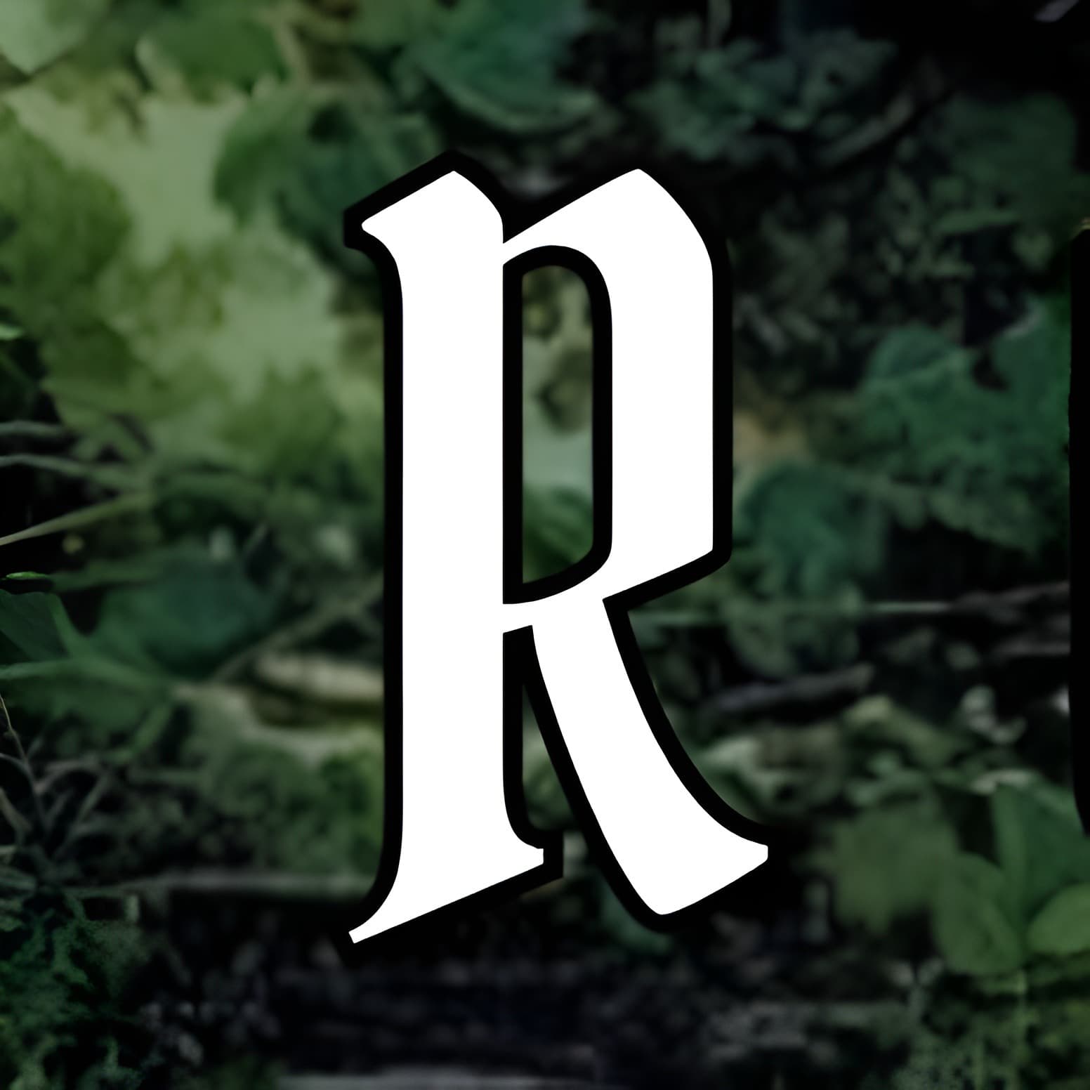 REBELITERATURE PODCAST - Podcast