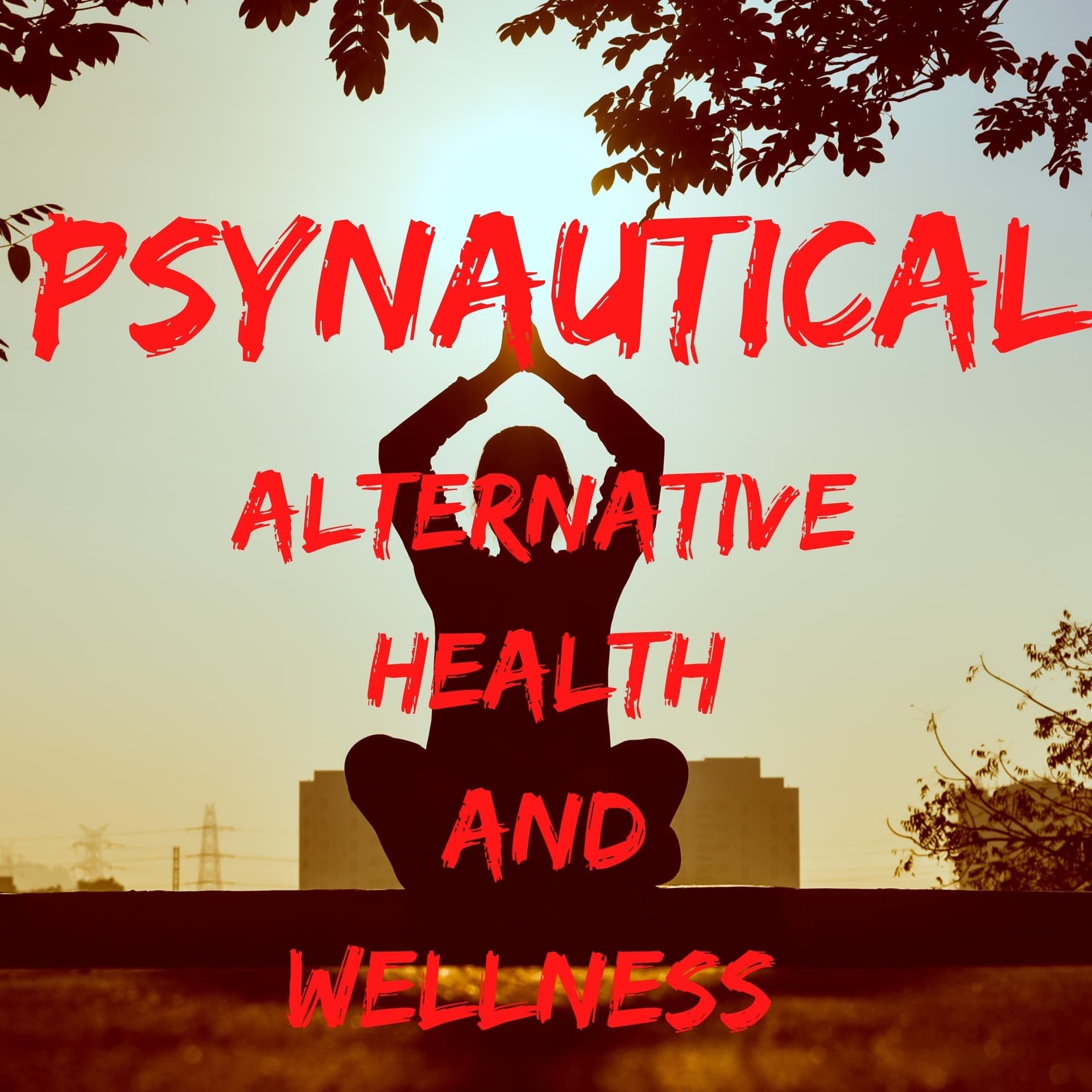 Psynautical: Holistic Health, Spirituality, Philosophy - Podcasts