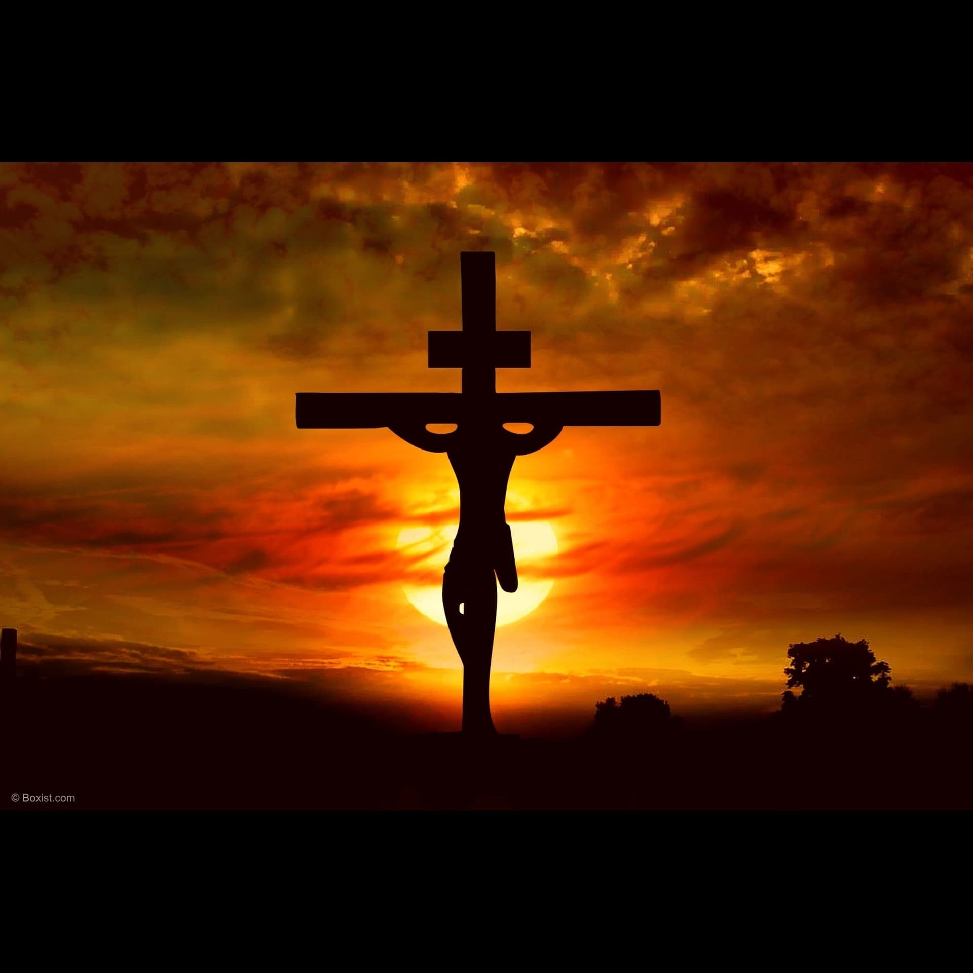 End Time World News - Podcasts