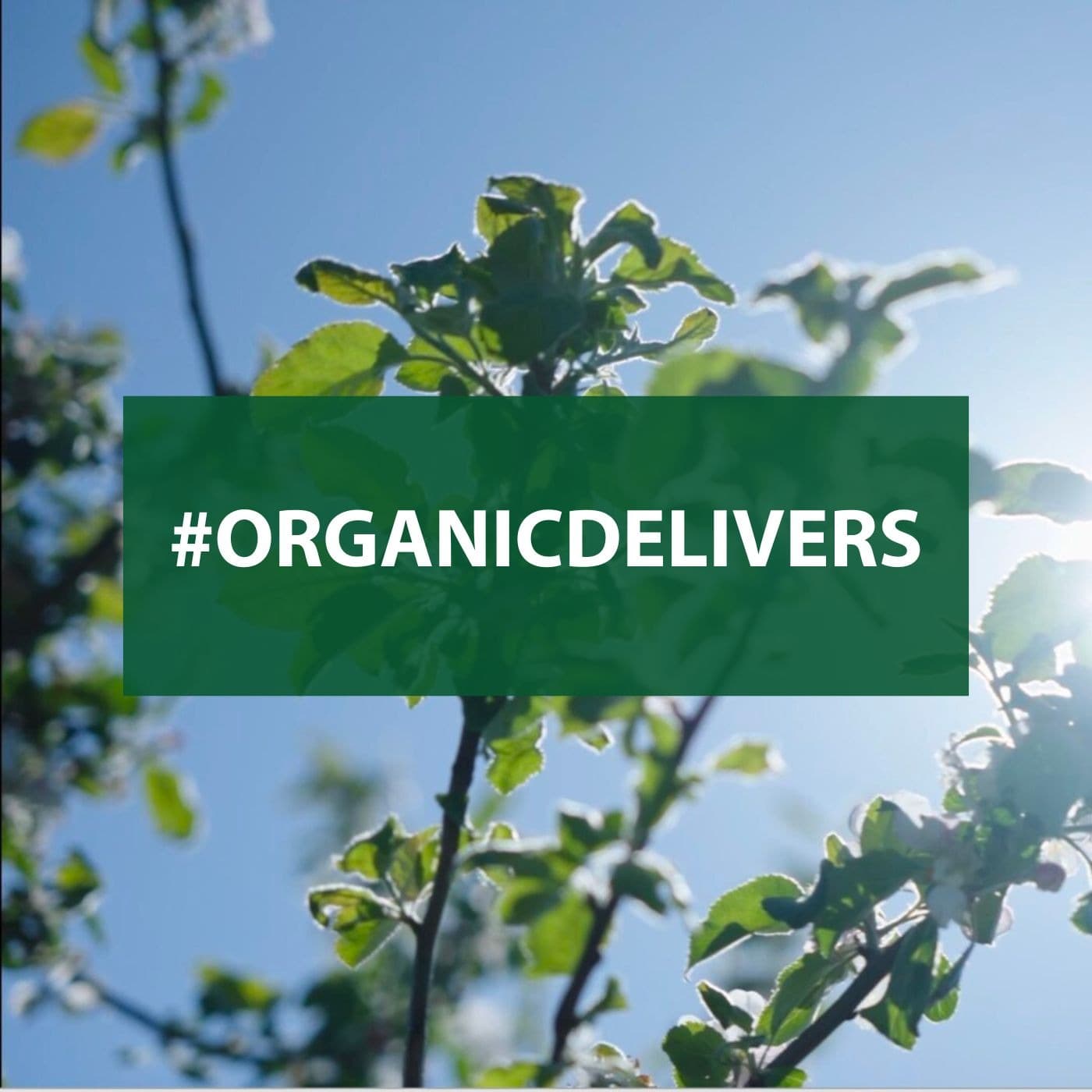 #OrganicDelivers - The long tour - Podcasts