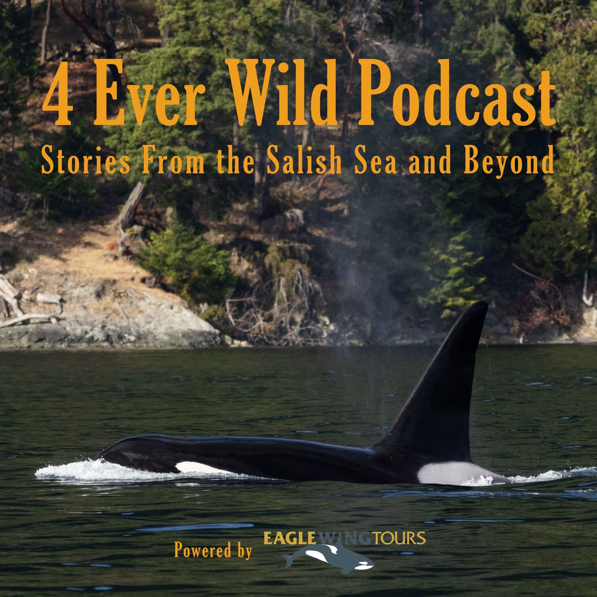 4 Ever Wild: Stories of the Salish Sea and Beyond - Podcasts