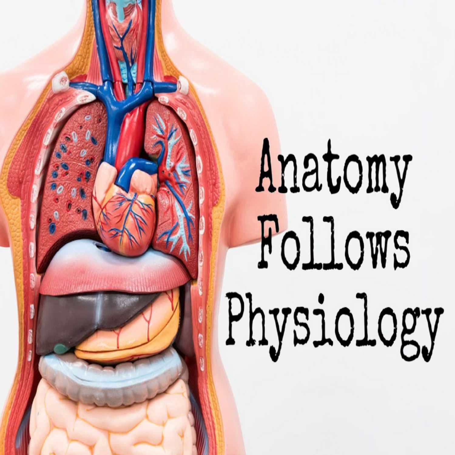 Anatomy Follows Physiology - Podcasts