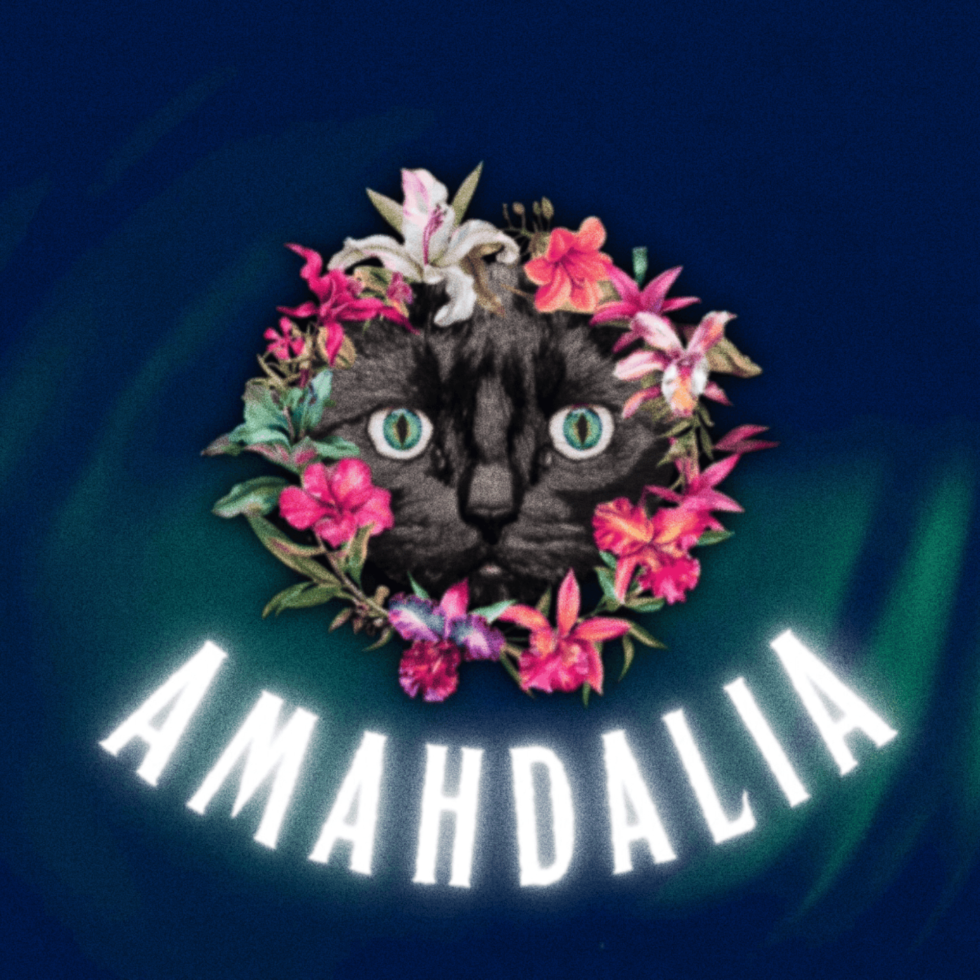 AMAHDALIA - Podcasts