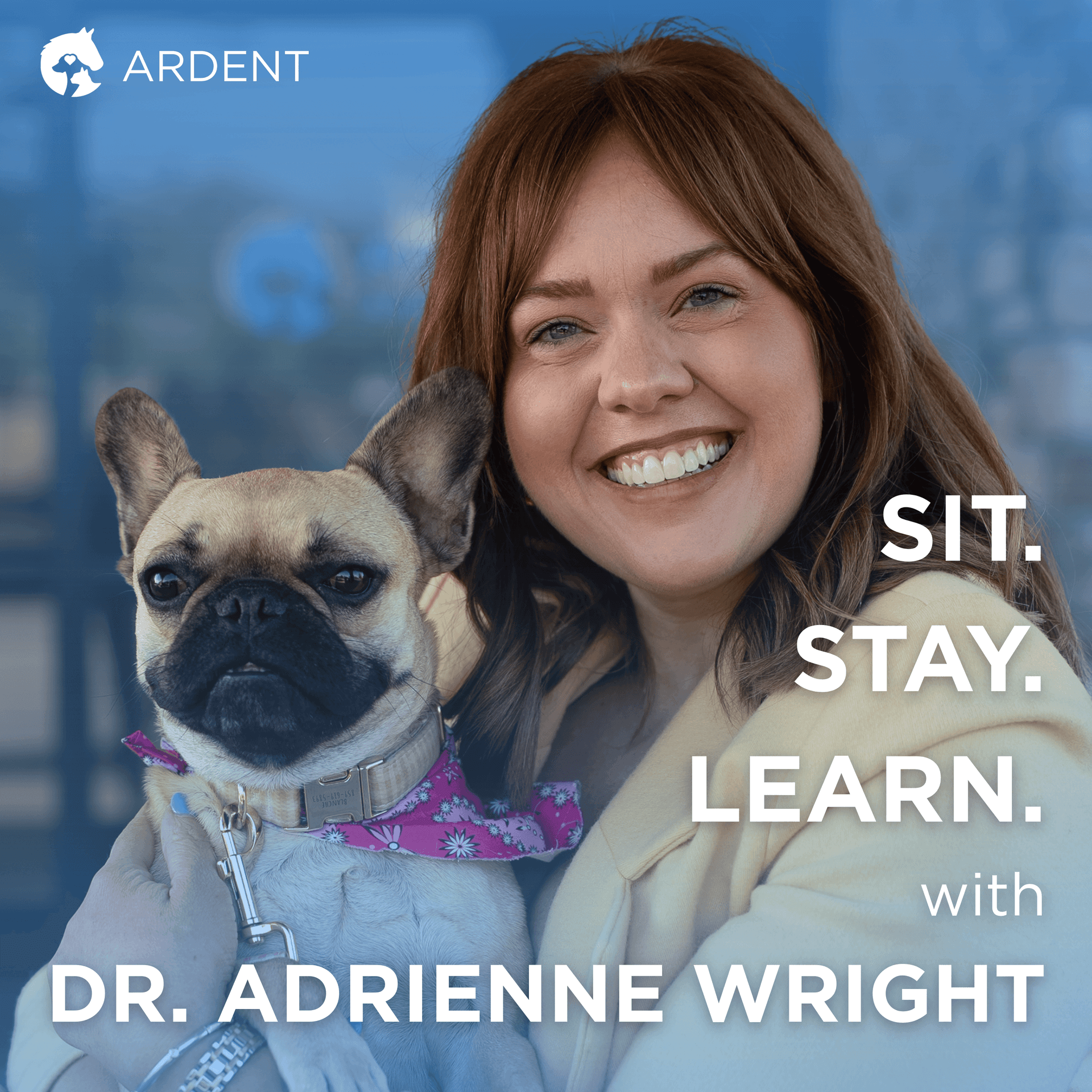 Sit. Stay. Learn. with Dr. Adrienne Wright - Podcasts