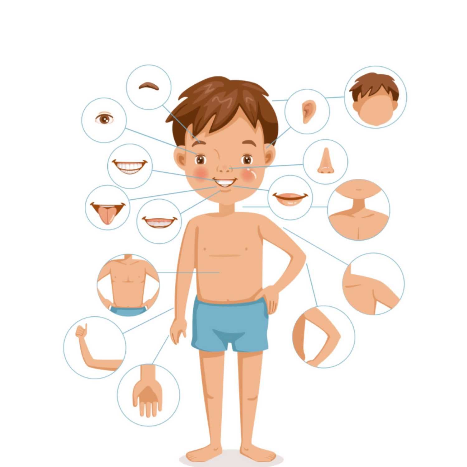Enciclopedia Zimitot - Anatomie - Podcasts