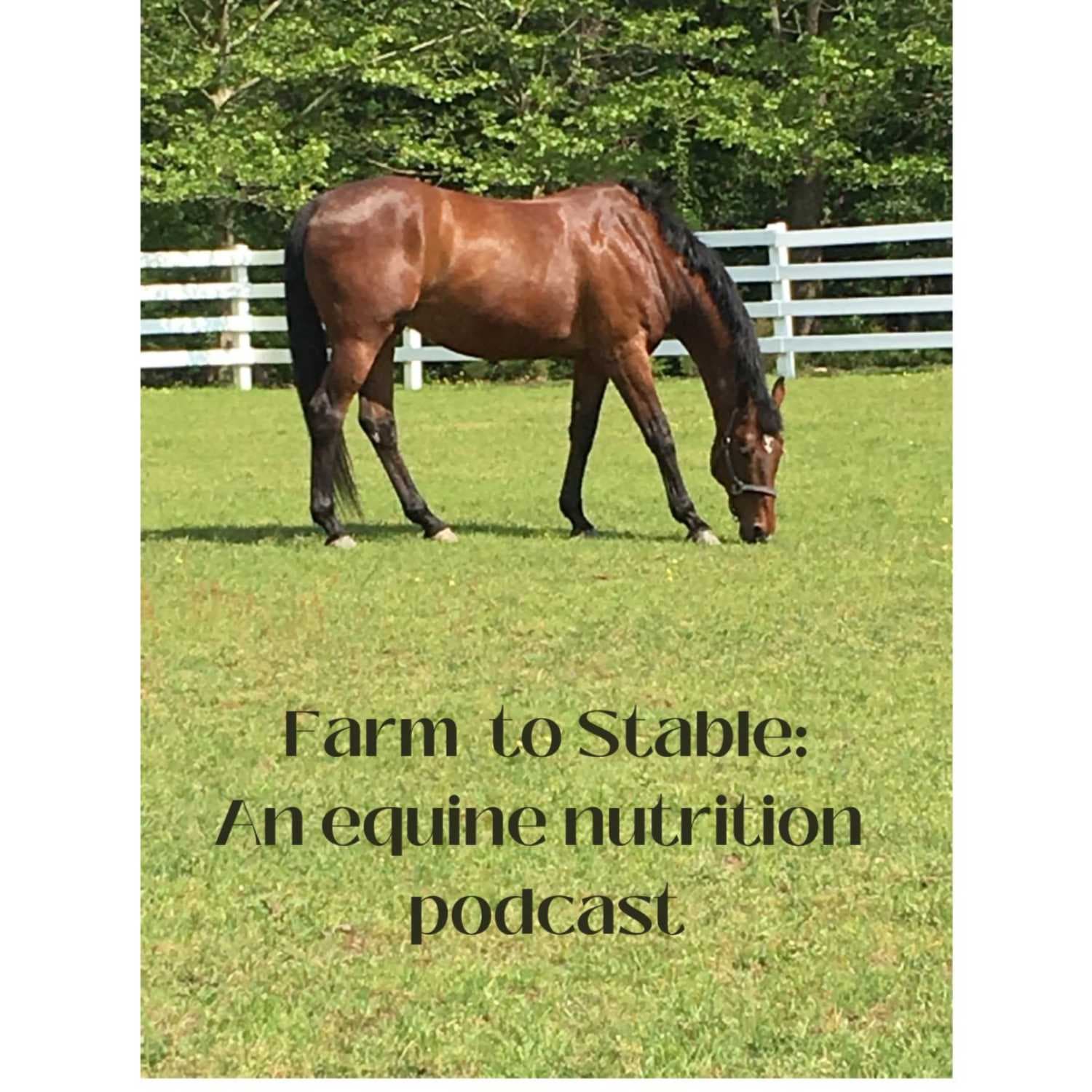 Farm To Stable: An Equine Nutrition Podcast (TM) - Podcasts