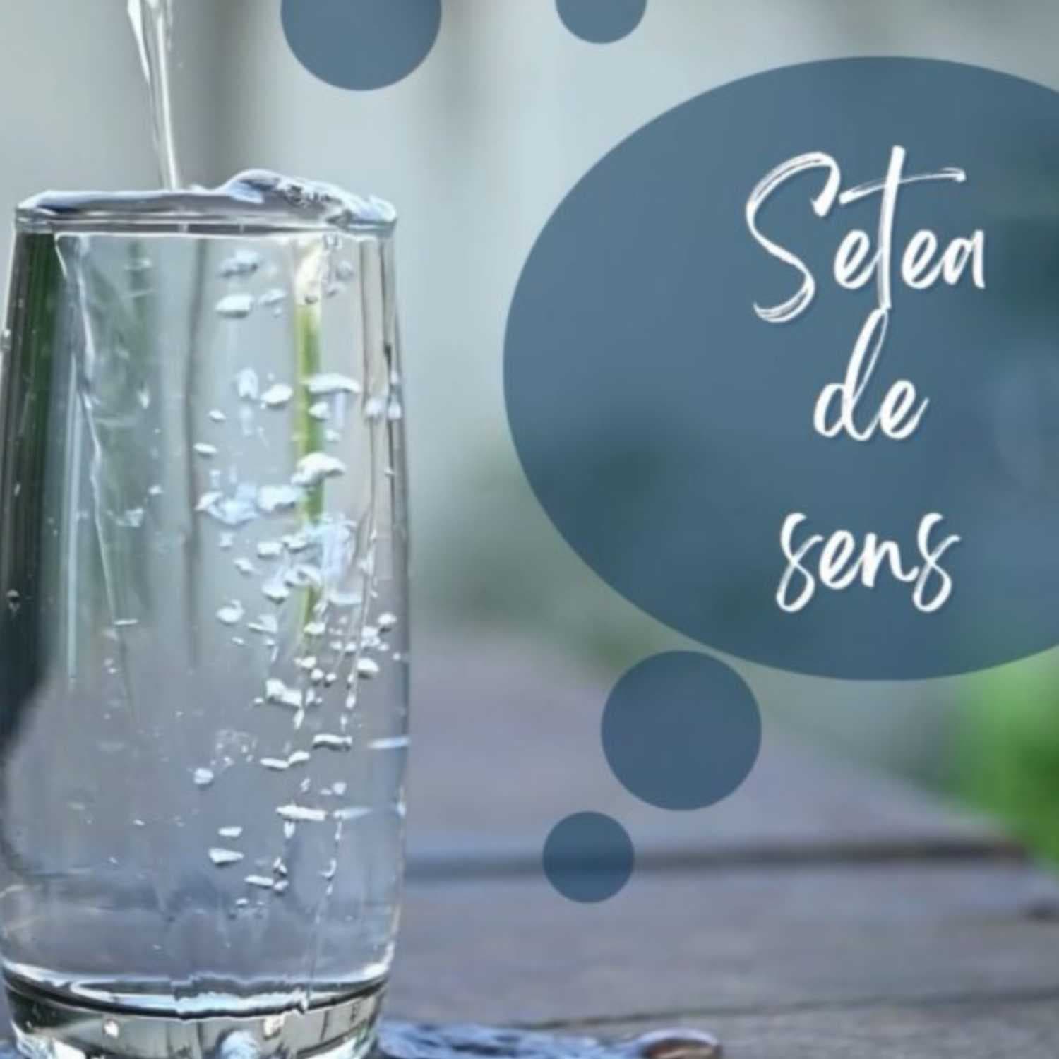 Setea de sens - Podcasts