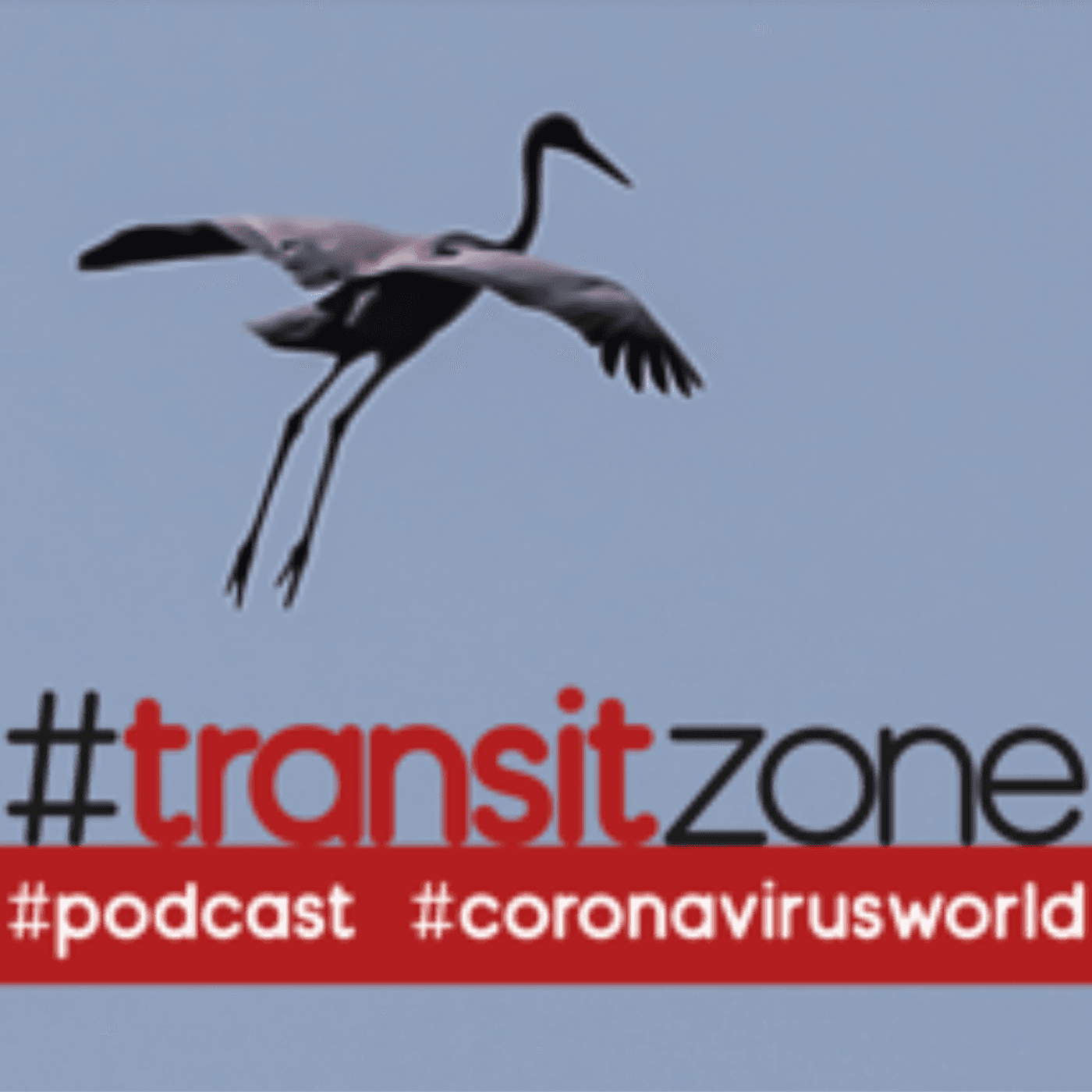 #transitzone - Podcasts