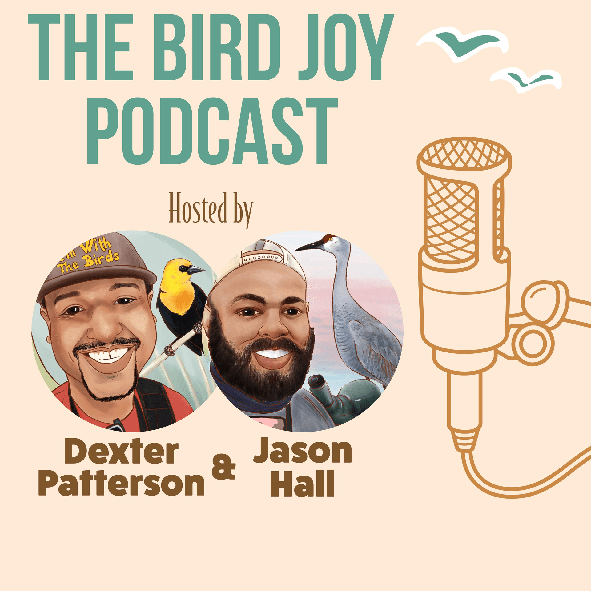 The Bird Joy Podcast - Podcasts